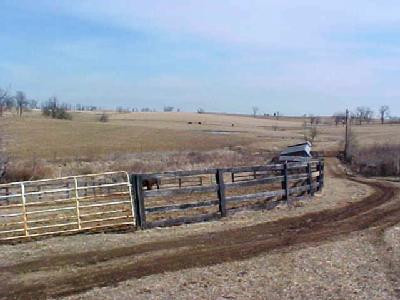 447 Tarr Road Paris, KY 40361 - Photo 3 of 14 Road to barn.