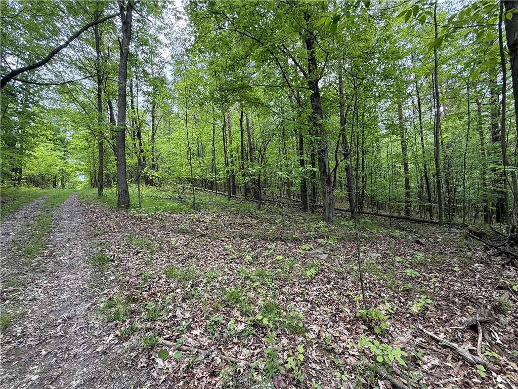 Hawley Road Bradford, NY 14815 - Photo 22 of 42