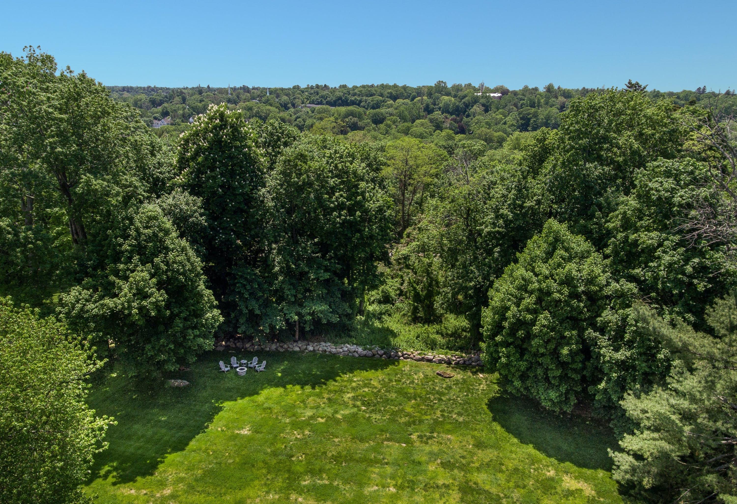 181 Brushy Ridge Road New Canaan, CT 06840 - Photo 33 of 34 a view of a lush green forest with lots of trees