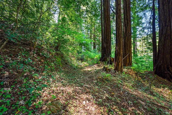 $400,000 | 20719 Foothill Drive, Monte Rio, CA 95462