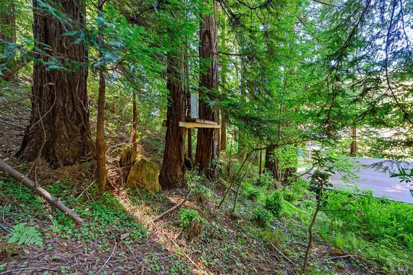 $400,000 | 20719 Foothill Drive, Monte Rio, CA 95462