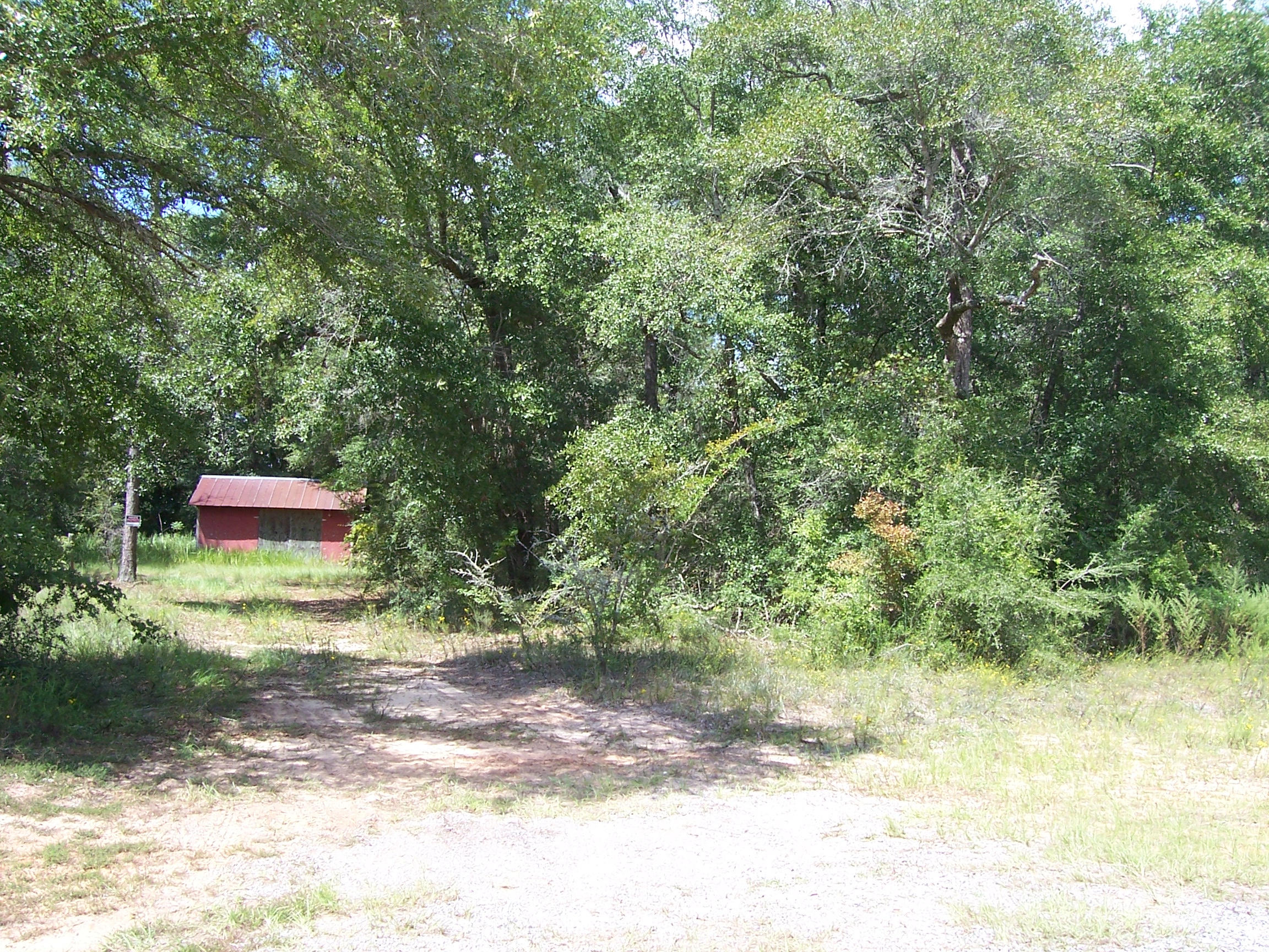 4.7-ac Ryan Road Crestview, FL 32539 - Photo 2 of 10 100_1264