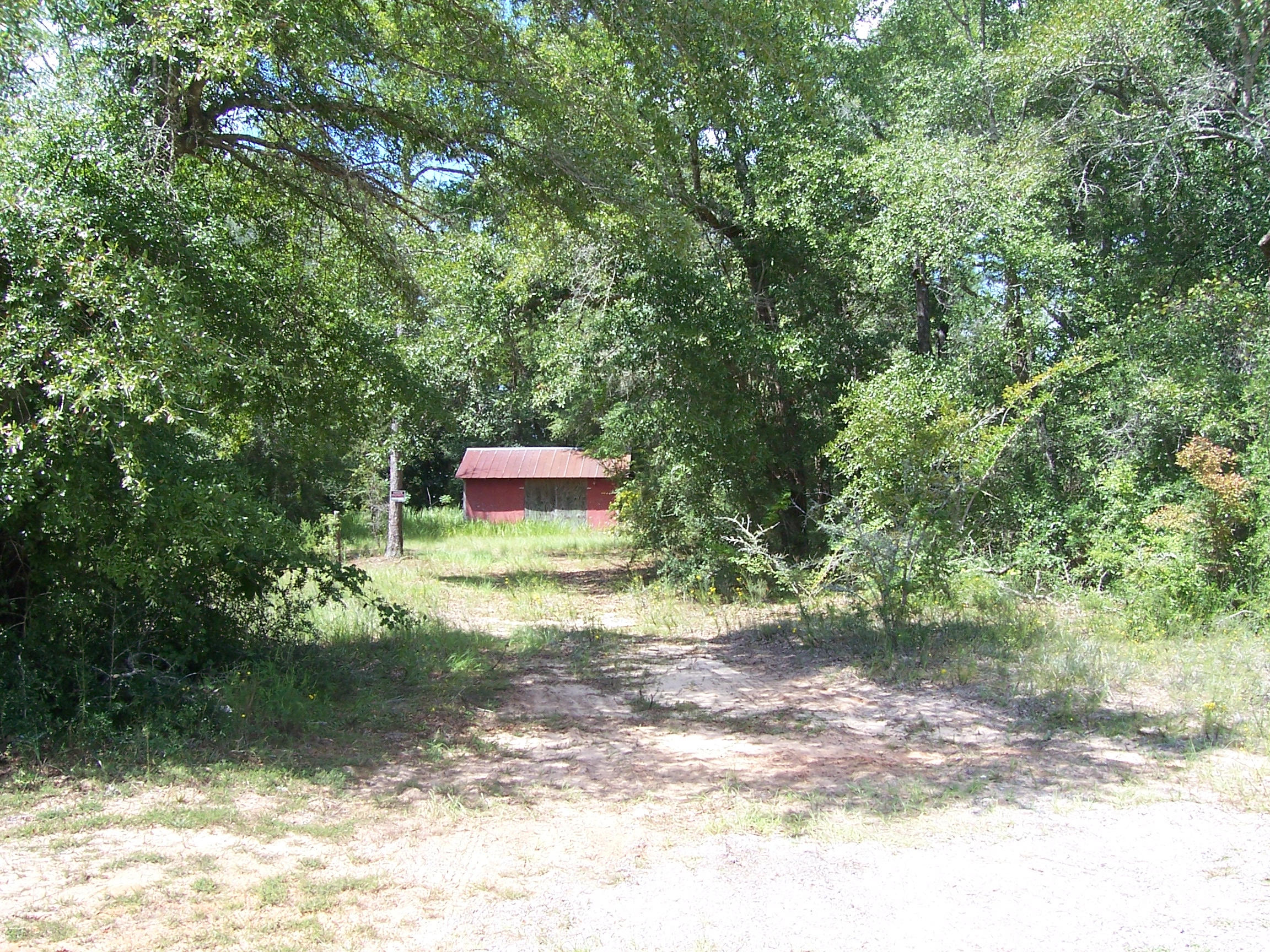 4.7-ac Ryan Road Crestview, FL 32539 - Photo 3 of 10 100_1265