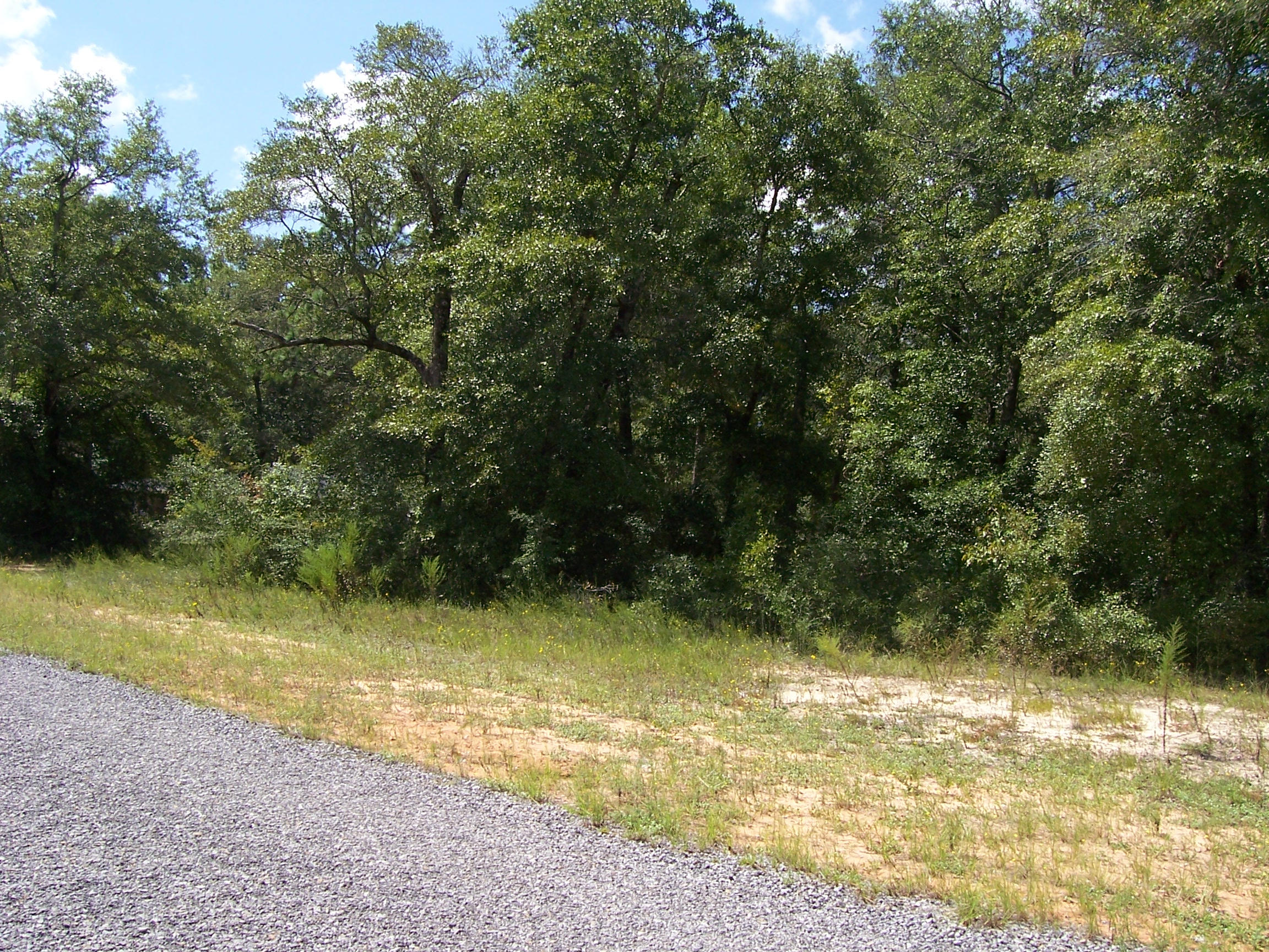 4.7-ac Ryan Road Crestview, FL 32539 - Photo 4 of 10 100_1268