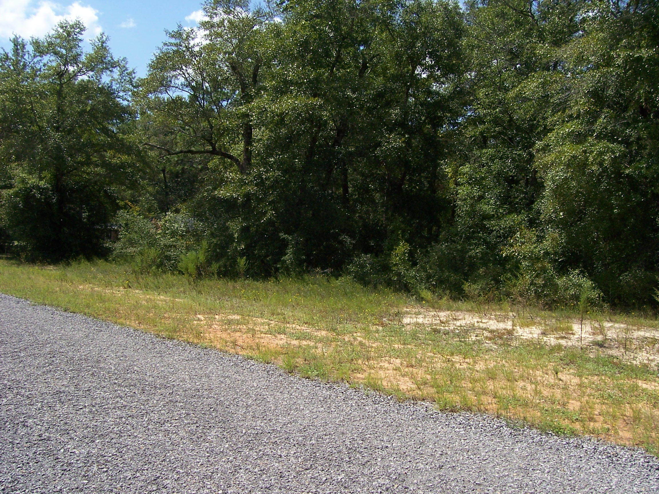 4.7-ac Ryan Road Crestview, FL 32539 - Photo 6 of 10 100_1269