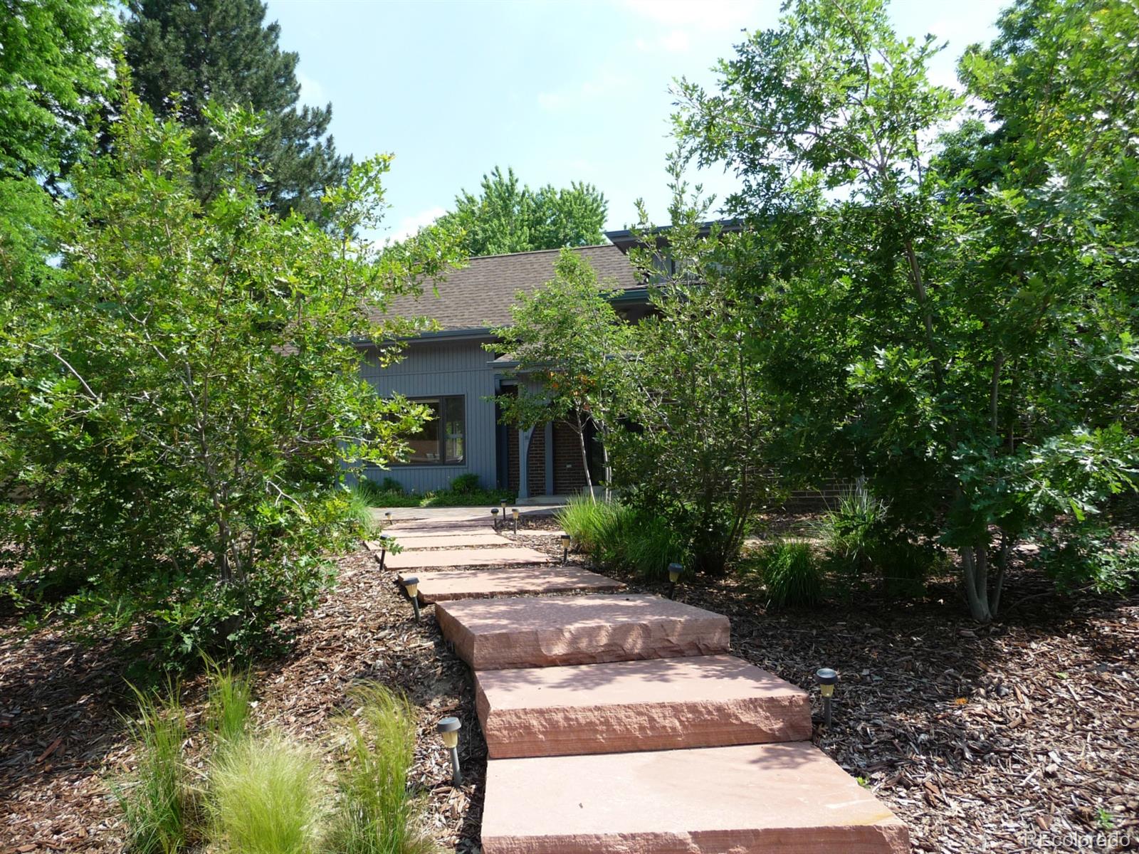 14130 Berry Road Golden, CO 80401 - Photo 2 of 28 a view of a yard with plants and large trees