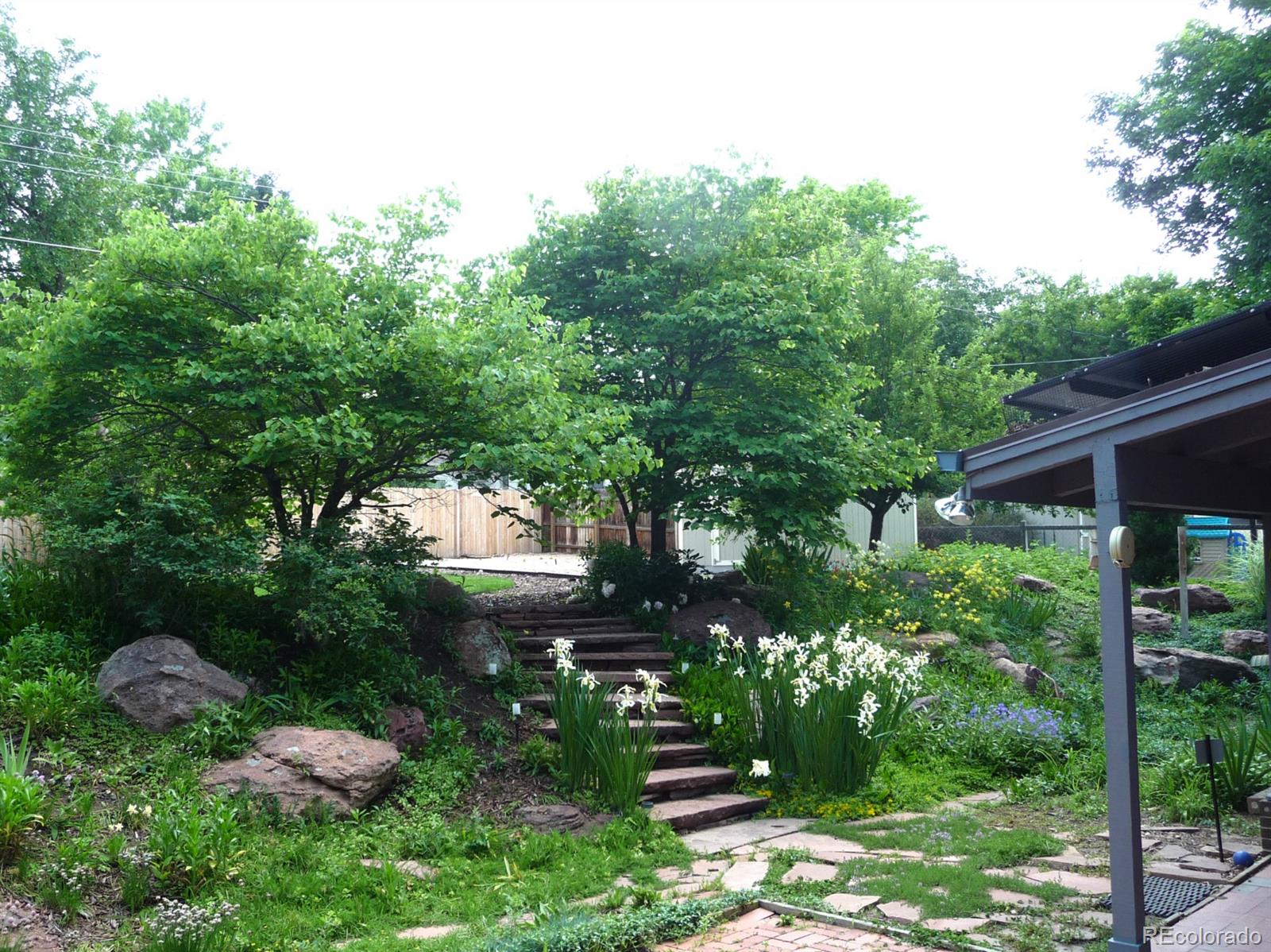 14130 Berry Road Golden, CO 80401 - Photo 23 of 28 a view of a backyard with garden and plants