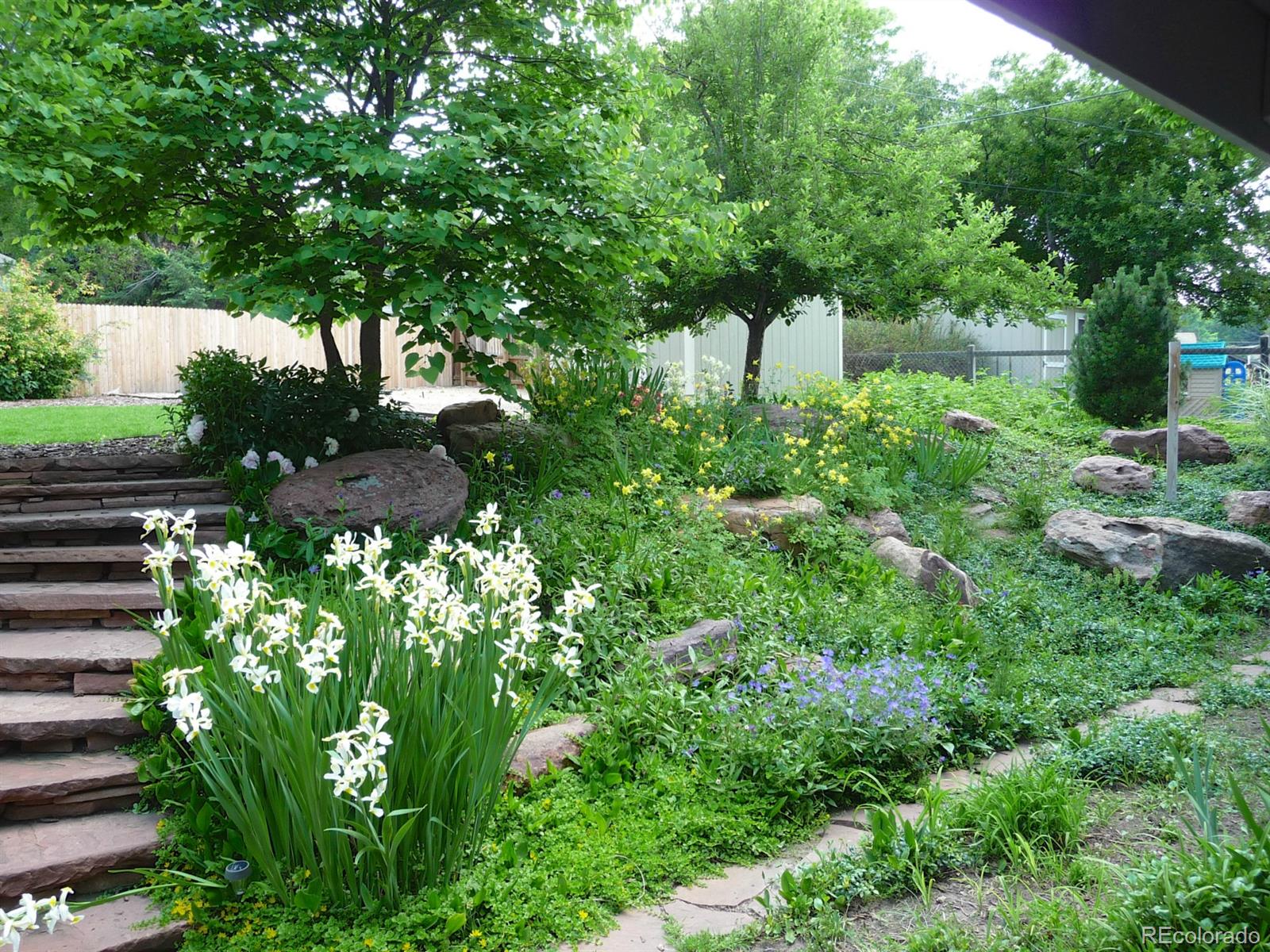 14130 Berry Road Golden, CO 80401 - Photo 24 of 28 a backyard of a house with lots of green space