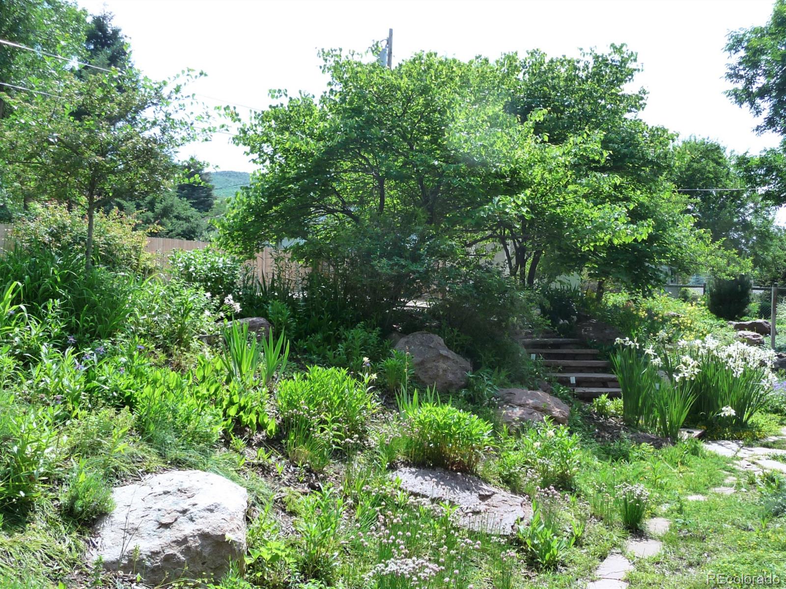 14130 Berry Road Golden, CO 80401 - Photo 26 of 28 a view of a garden with plants
