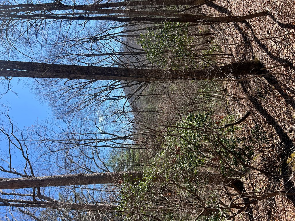 Lots Wolf Mountain Road Murphy, NC 28906 - Photo 21 of 27