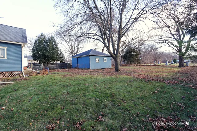 a view of backyard with tree