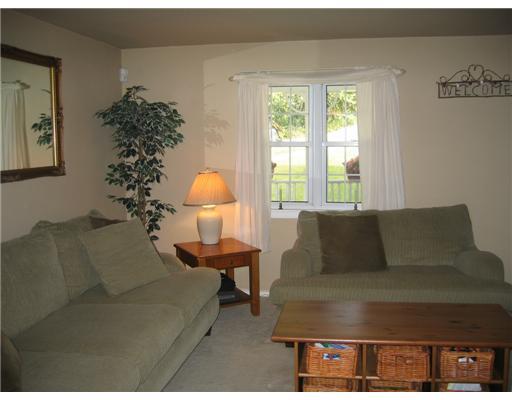 620 Springfield Street Pittsburgh, PA 15220 - Photo 4 of 17 Family Room. Large Open living area