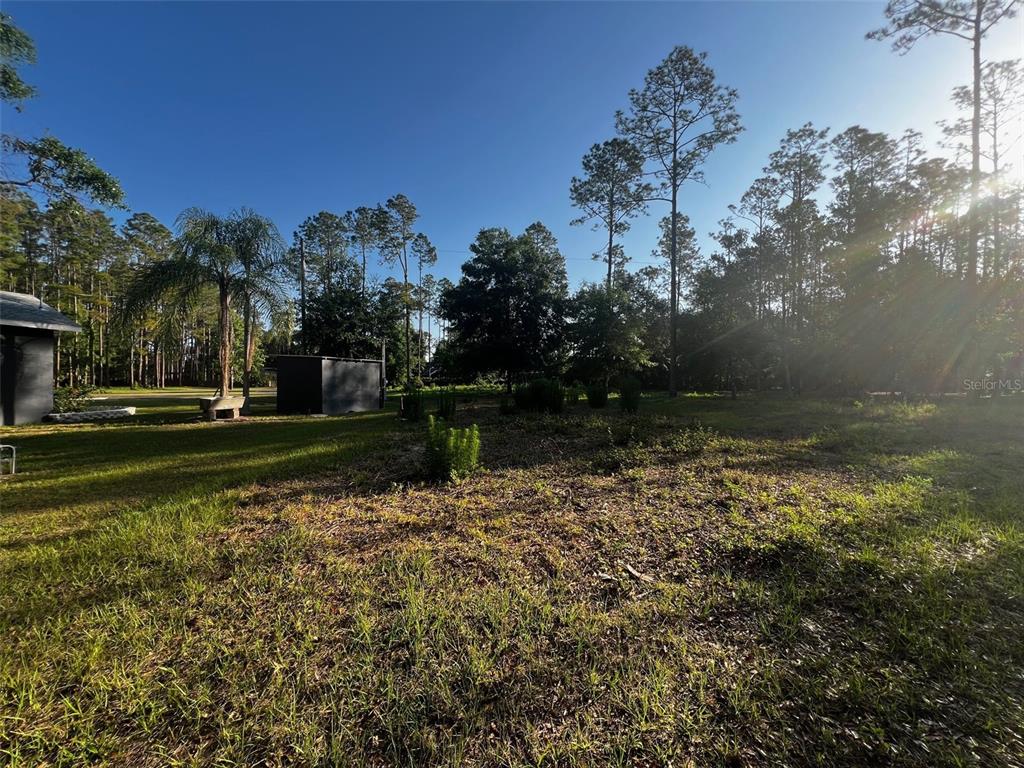 Newberger Lutz, FL 33549 - Photo 6 of 6 a view of a park
