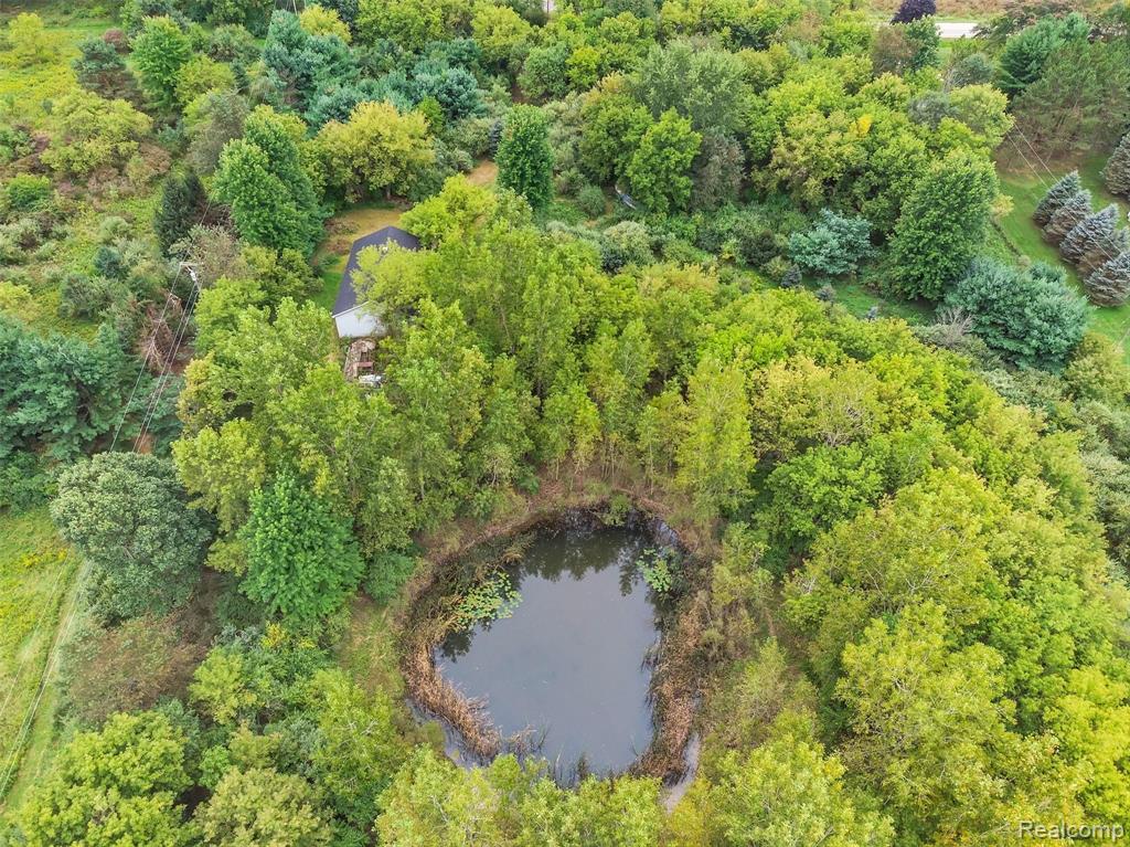 3824 West Coon Lake Road Howell, MI 48843 - Photo 4 of 12