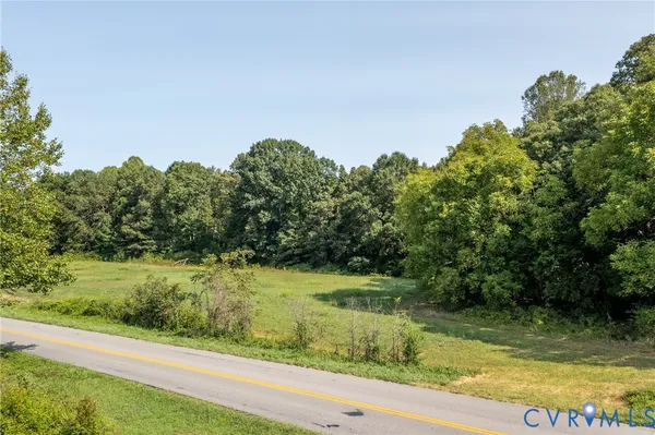 a view of a yard with potted plants and large trees