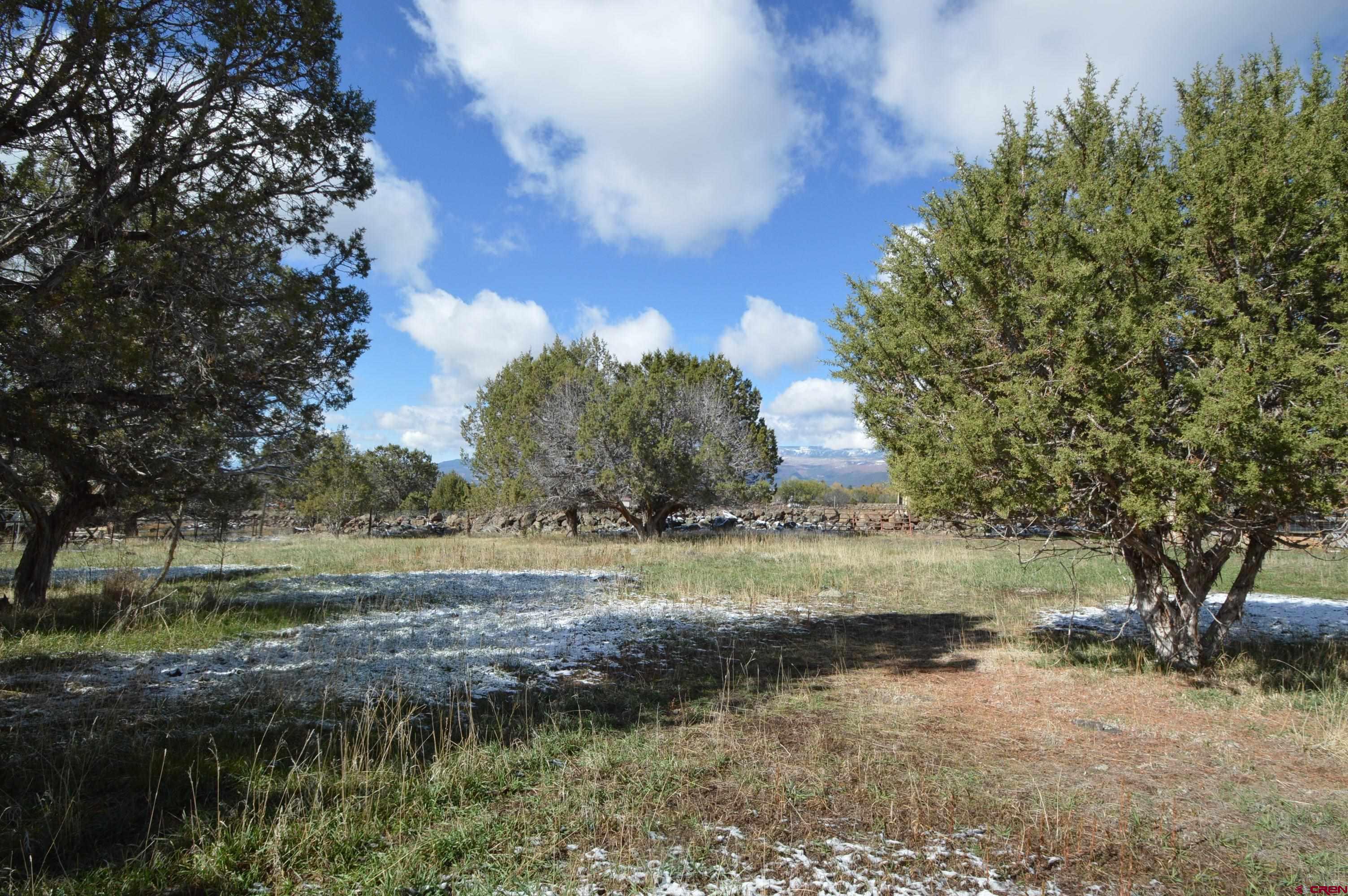 18417 Surface Creek Road Cedaredge, CO 81413 - Photo 5 of 34 Gallery Image 5