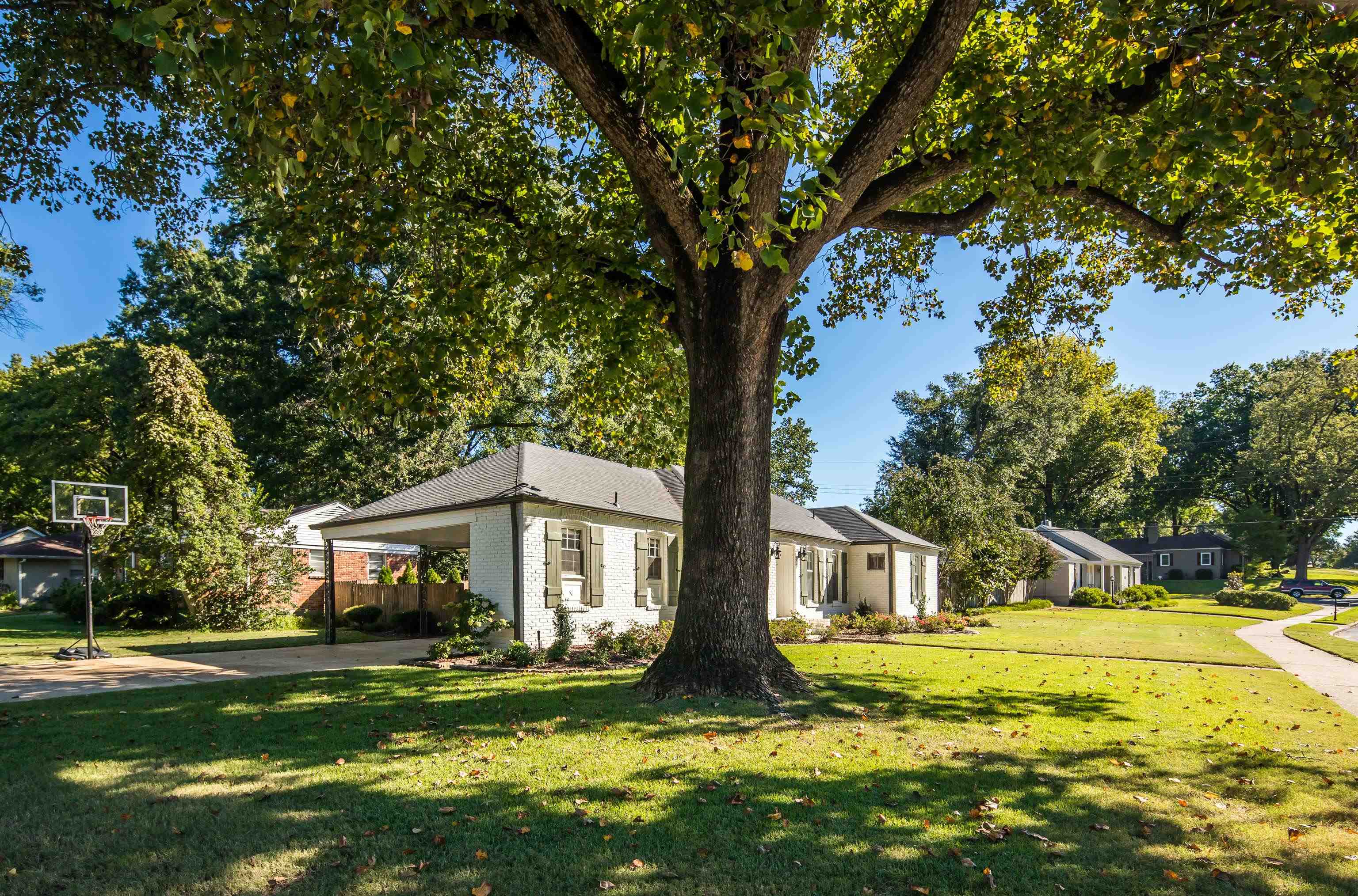 5060 Rich Road Memphis, TN 38117 - Photo 24 of 25 a front view of house with yard along trees and green space