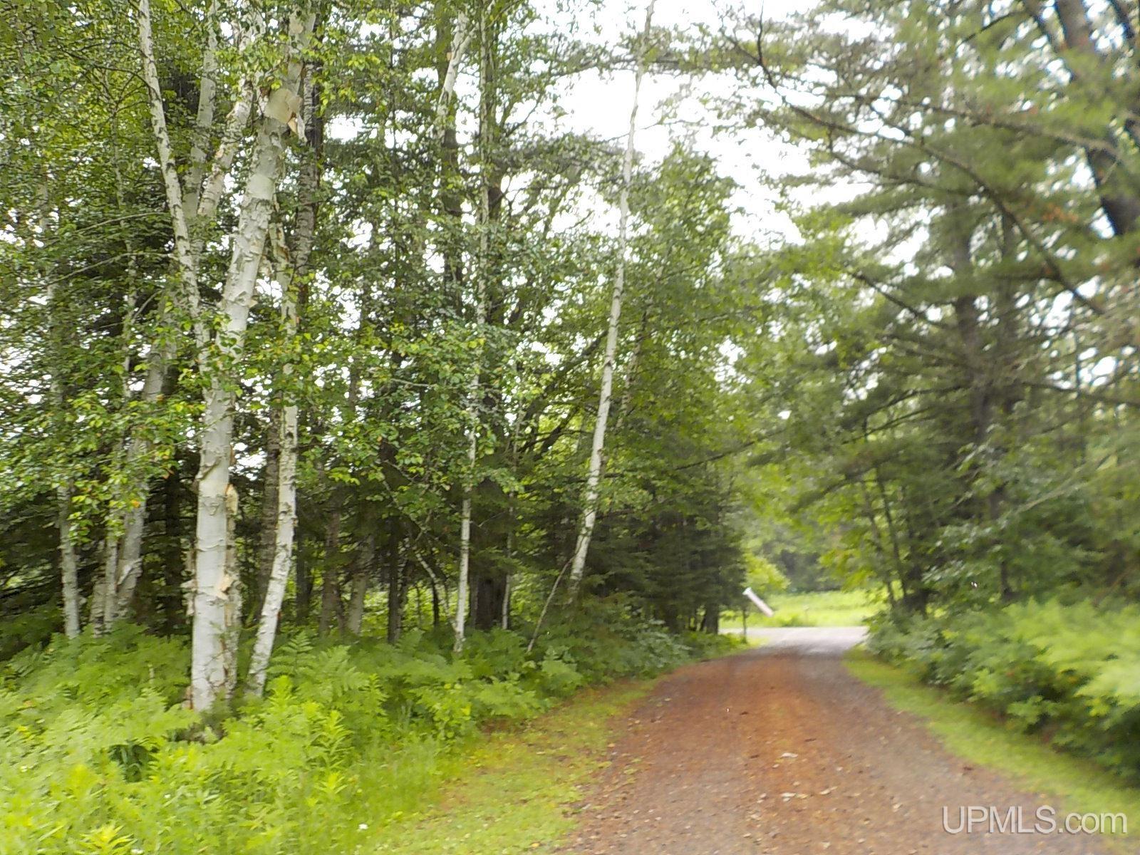 285 Clark Road Crystal Falls, MI 49920 - Photo 25 of 77 Gallery Image 25