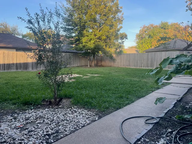 a view of a backyard with plants and a large tree
