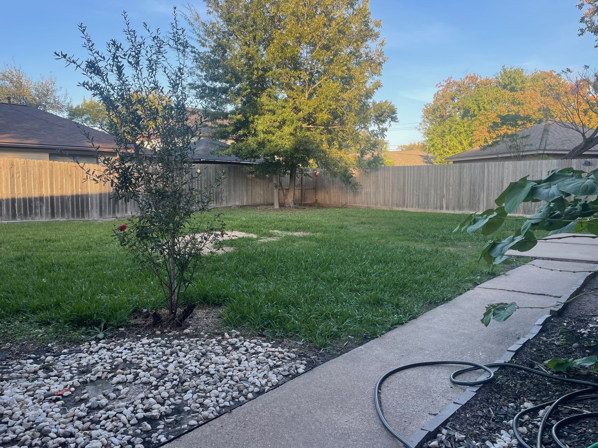 11310 Meadow Lake Drive Houston, TX 77077 - Photo 15 of 16 a view of a backyard with plants and a large tree