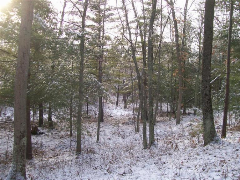 17817 Round Lake Road Wellston, MI 49689 - Photo 14 of 19 Additional Photo
