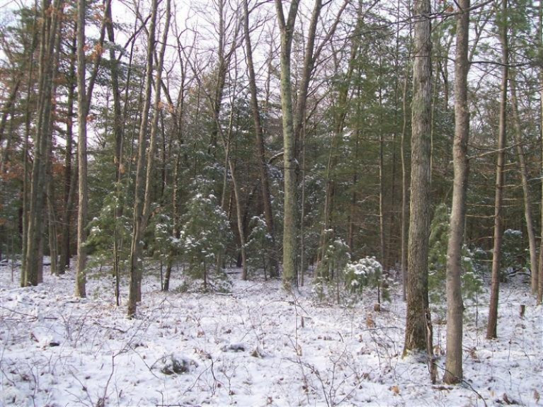 17817 Round Lake Road Wellston, MI 49689 - Photo 18 of 19 Additional Photo
