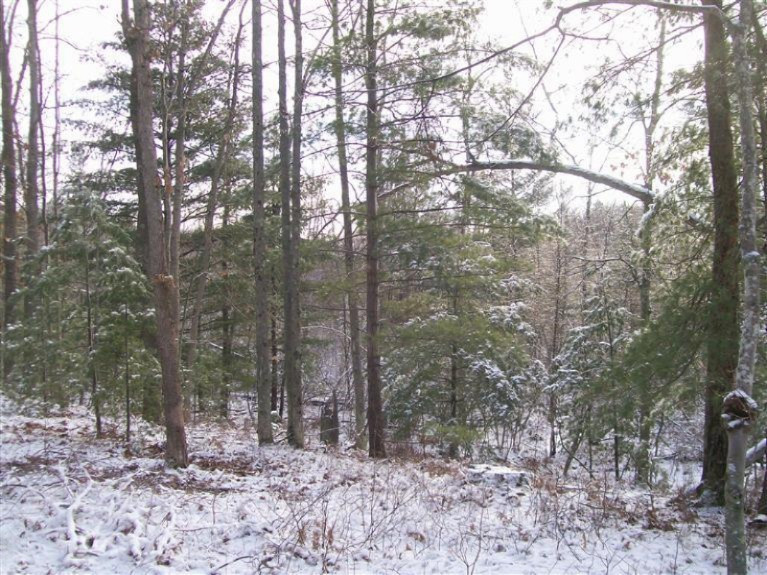 17817 Round Lake Road Wellston, MI 49689 - Photo 10 of 19 Additional Photo