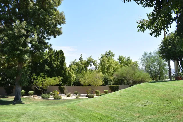 a view of a green field