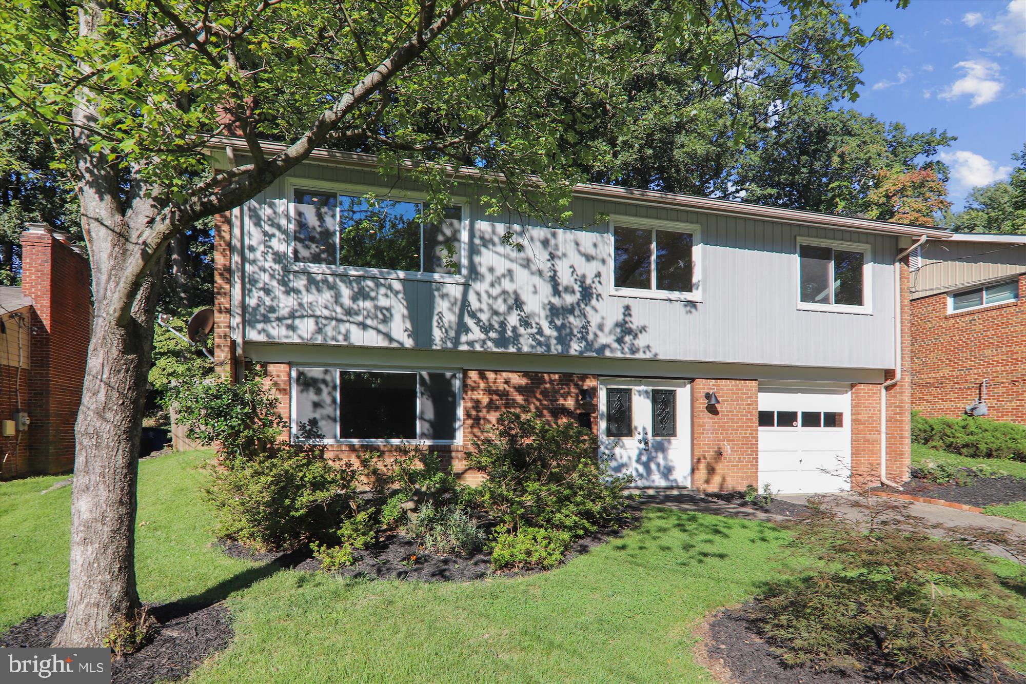 10708 Lombardy Road Silver Spring, MD 20901 - Photo 4 of 95 Big windows for good interior light