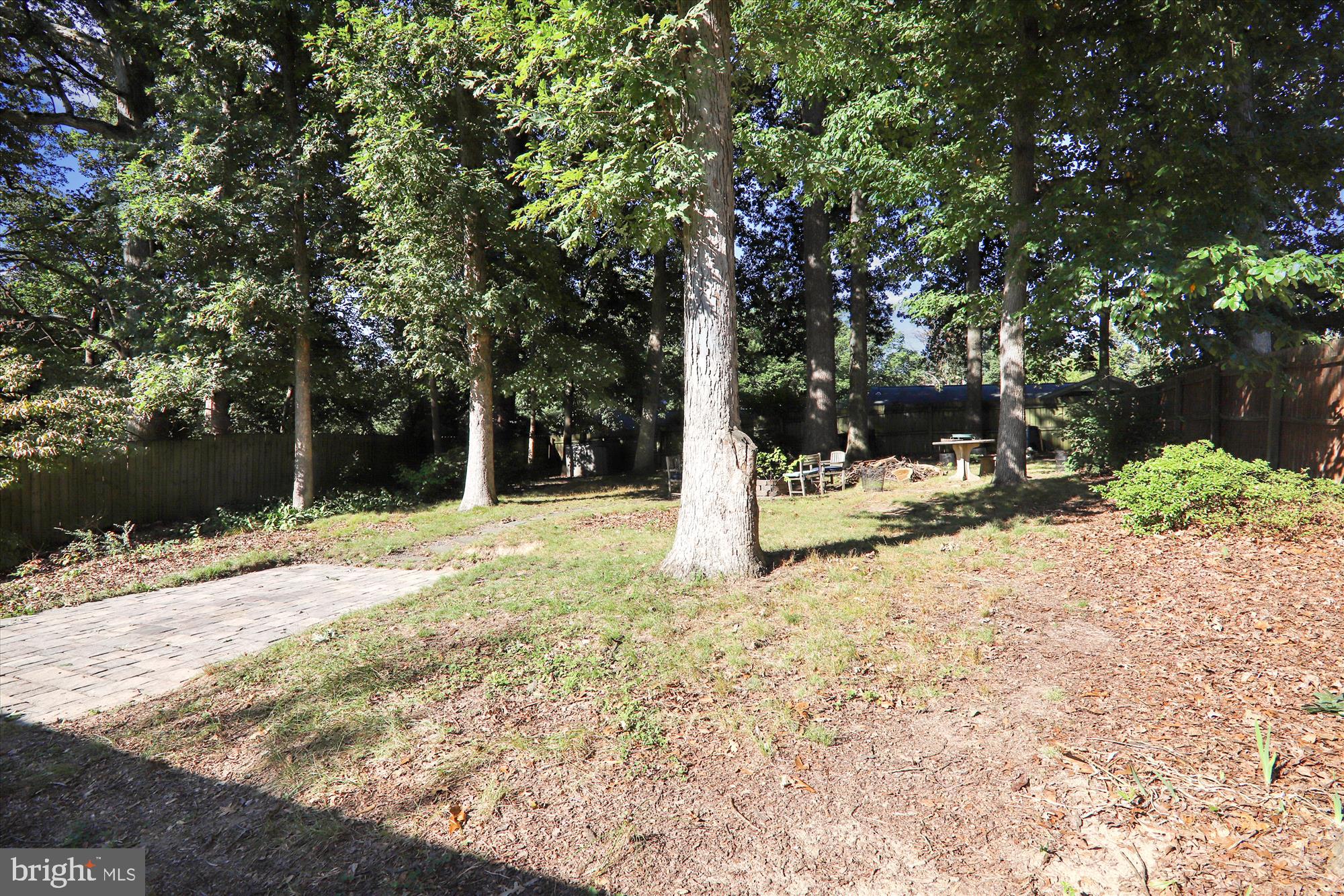 10708 Lombardy Road Silver Spring, MD 20901 - Photo 48 of 95 A group of healthy oak trees dominate the rear