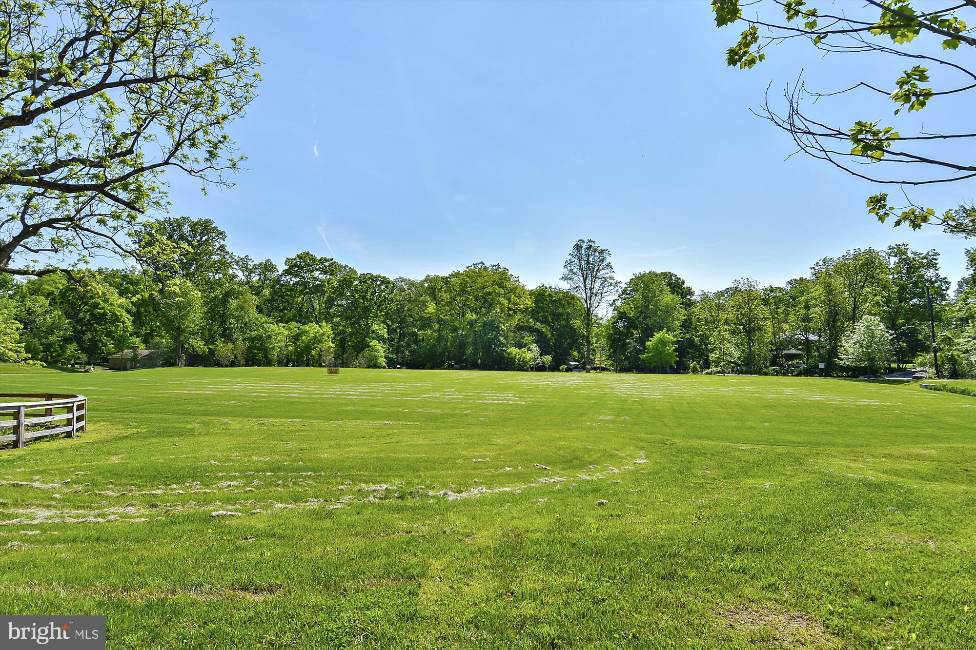 10708 Lombardy Road Silver Spring, MD 20901 - Photo 64 of 95