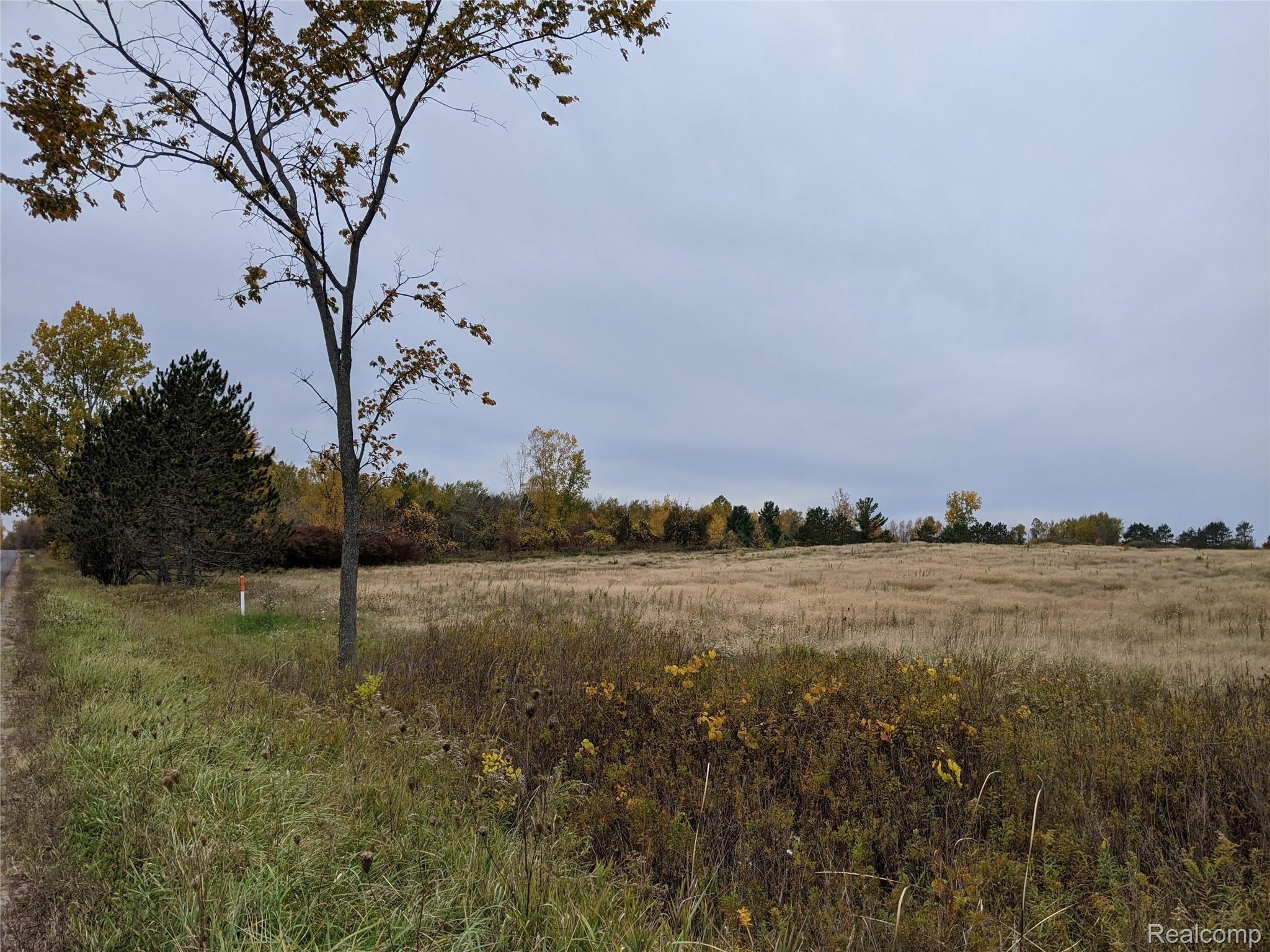 5259 Sheffer Road Prescott, MI 48756 - Photo 43 of 60 PXL_20201014_192030190.jpg
