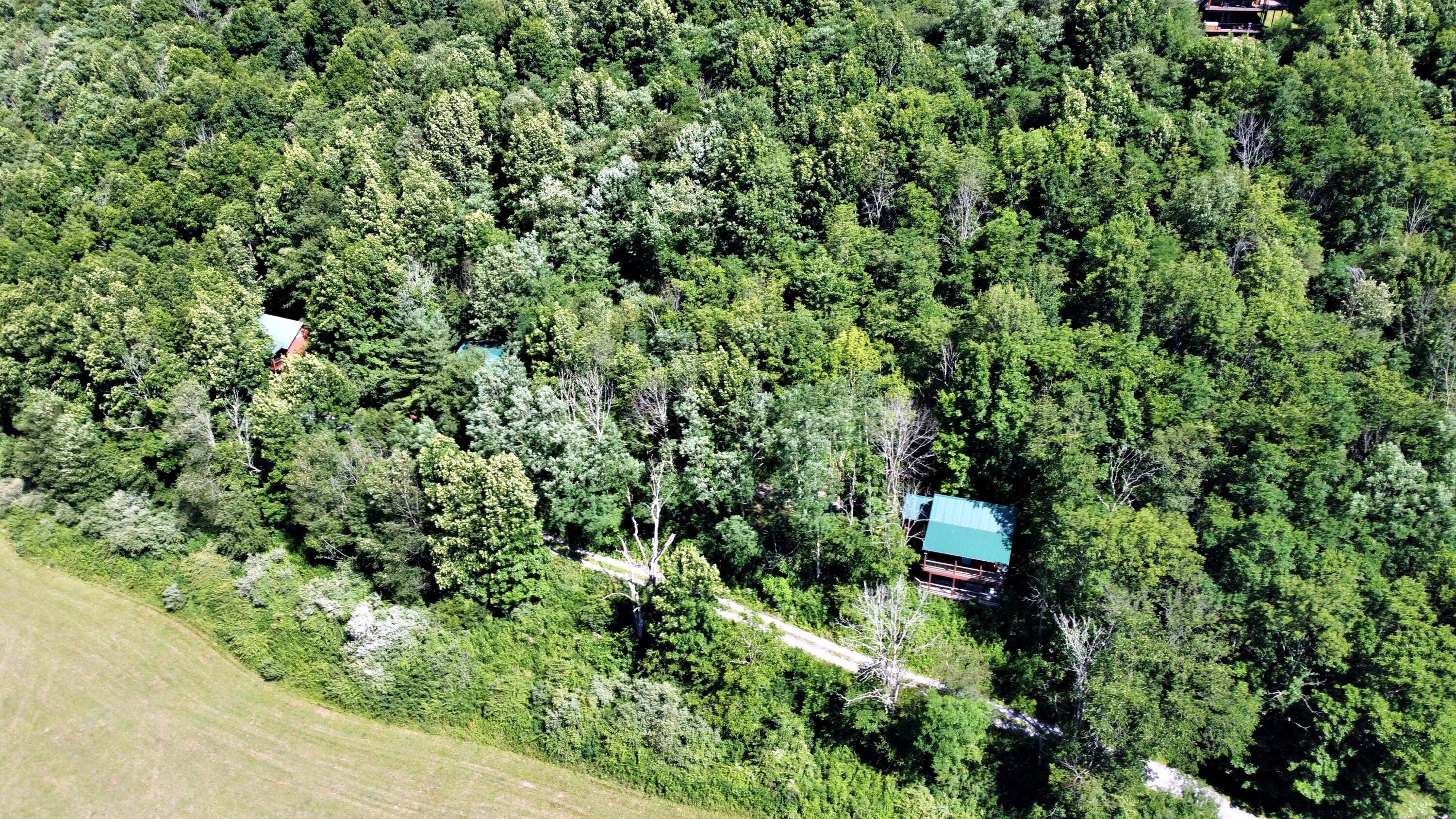 631 Slatyfork Farms Road Slatyfork, WV 26291 - Photo 17 of 19 Gallery Image 17