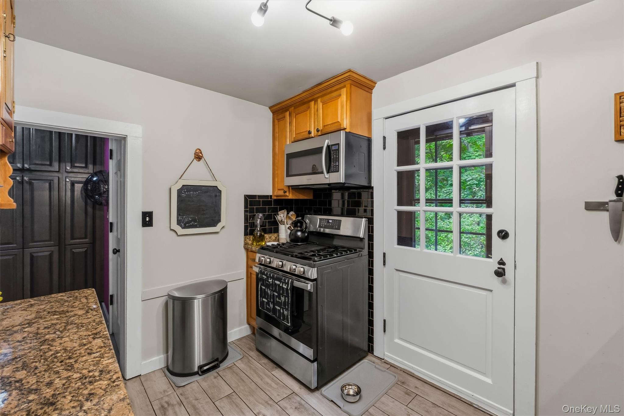 231 Rombout Road Pleasant Valley, NY 12569 - Photo 22 of 48 Door to Backyard