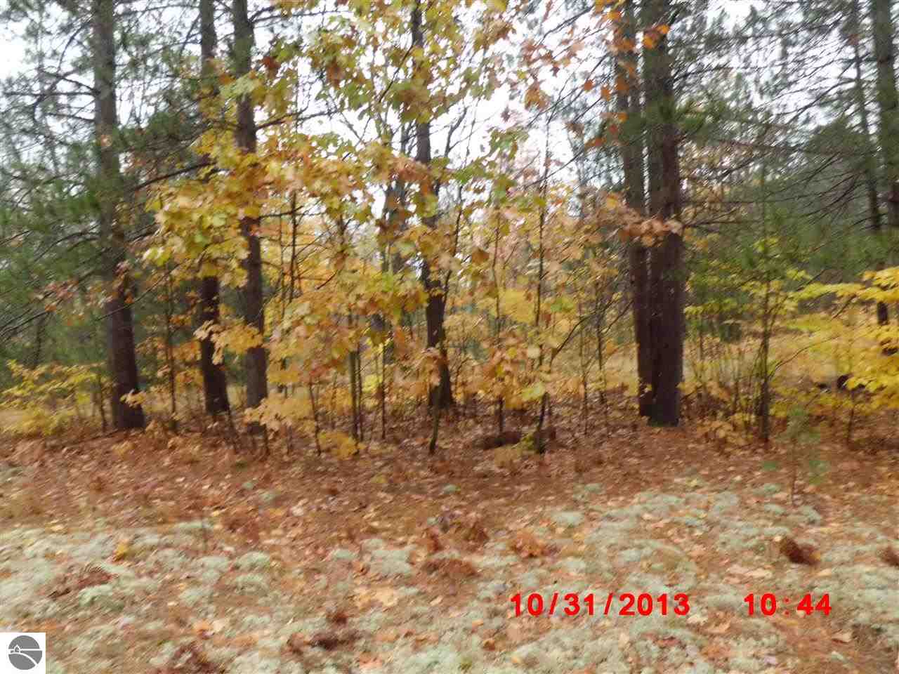 14417 Cinder Road Beulah, MI 49617 - Photo 10 of 10 1804753-9.JPG