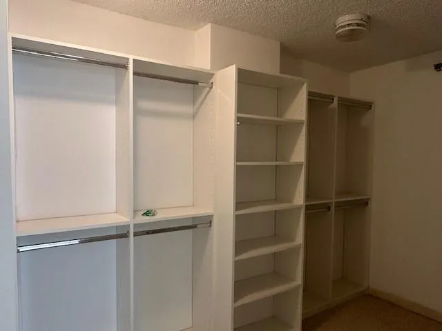 a view of walk in closet with empty racks