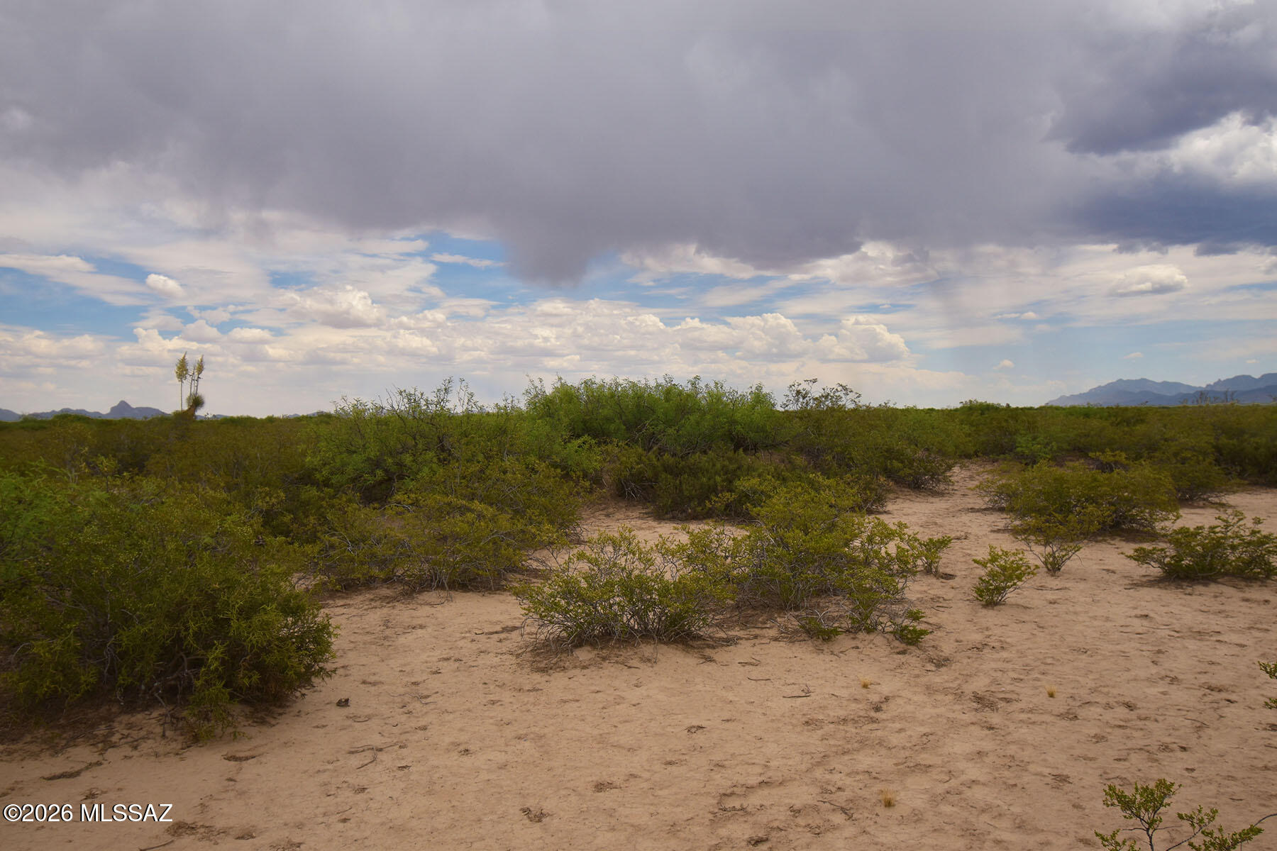 40.7-ac North Parker Road San Simon, AZ 85632 - Photo 14 of 24