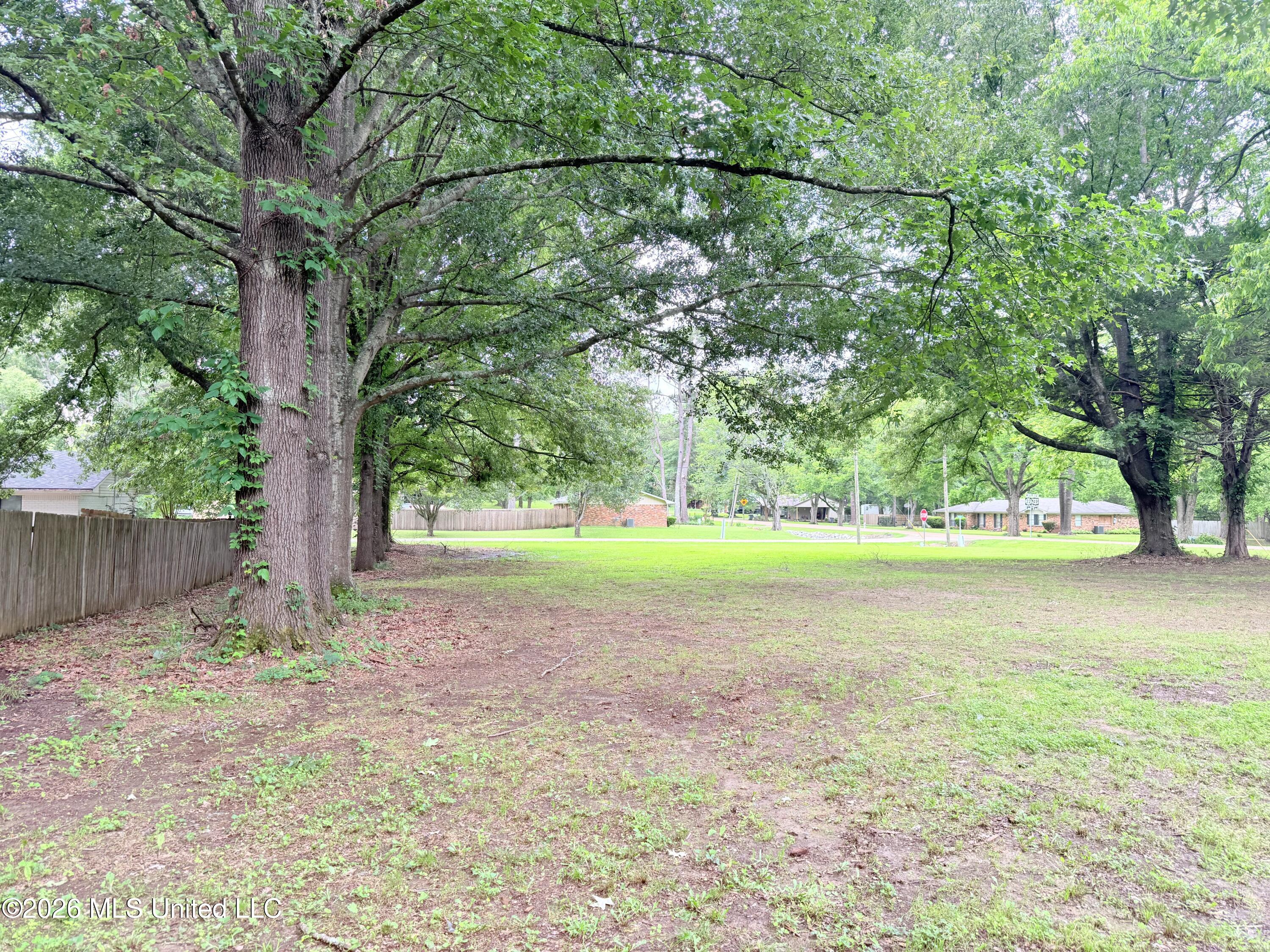 Northwest 4th Street Flora, MS 39071 - Photo 8 of 8 IMG_4997