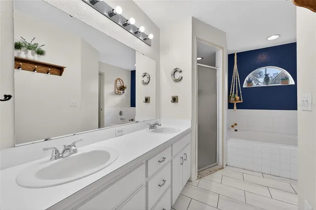 a view of a large garden with plants and large trees