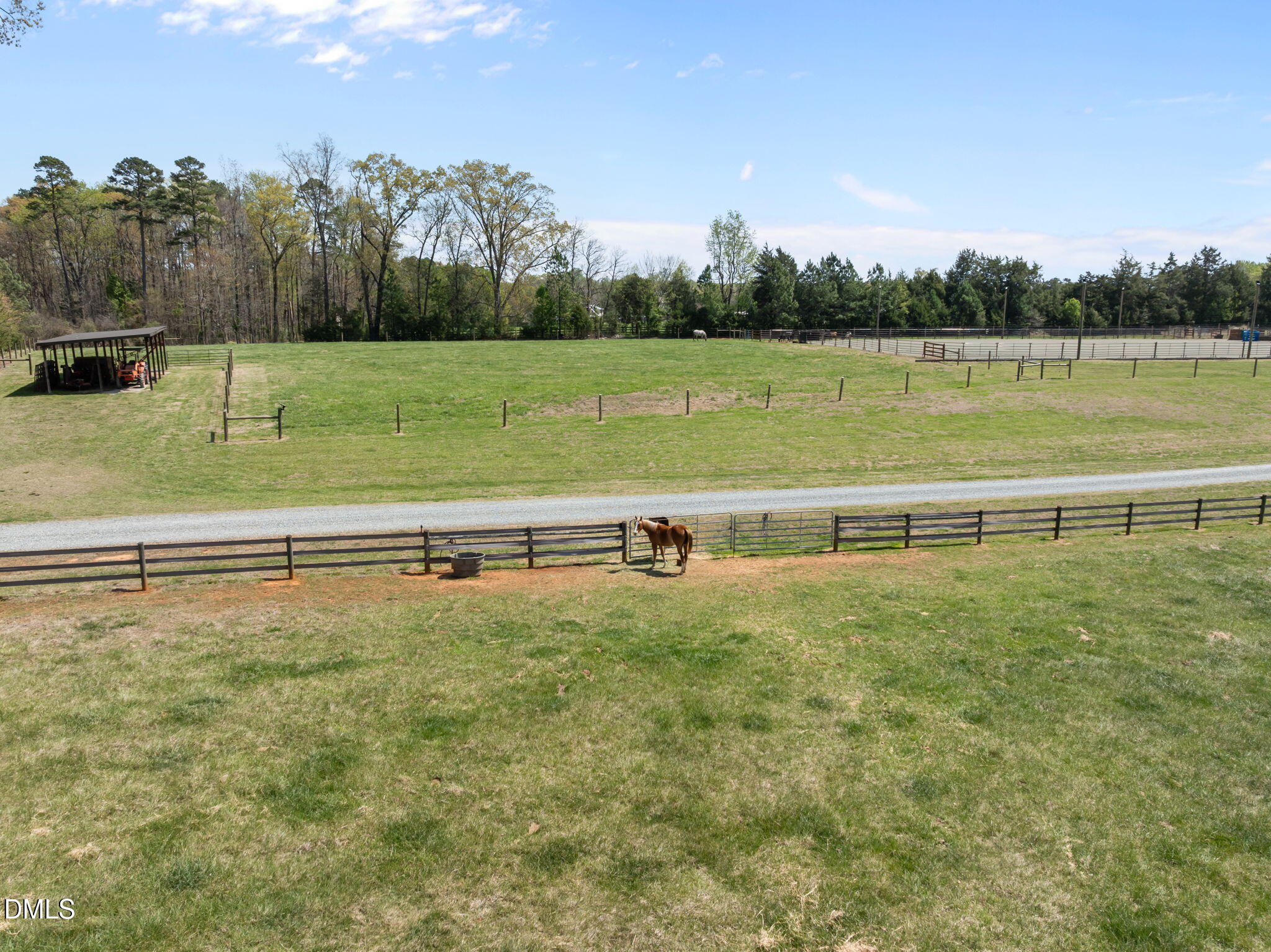 4578 Millpoint Road Greensboro, NC 27406 - Photo 55 of 66 Pasture