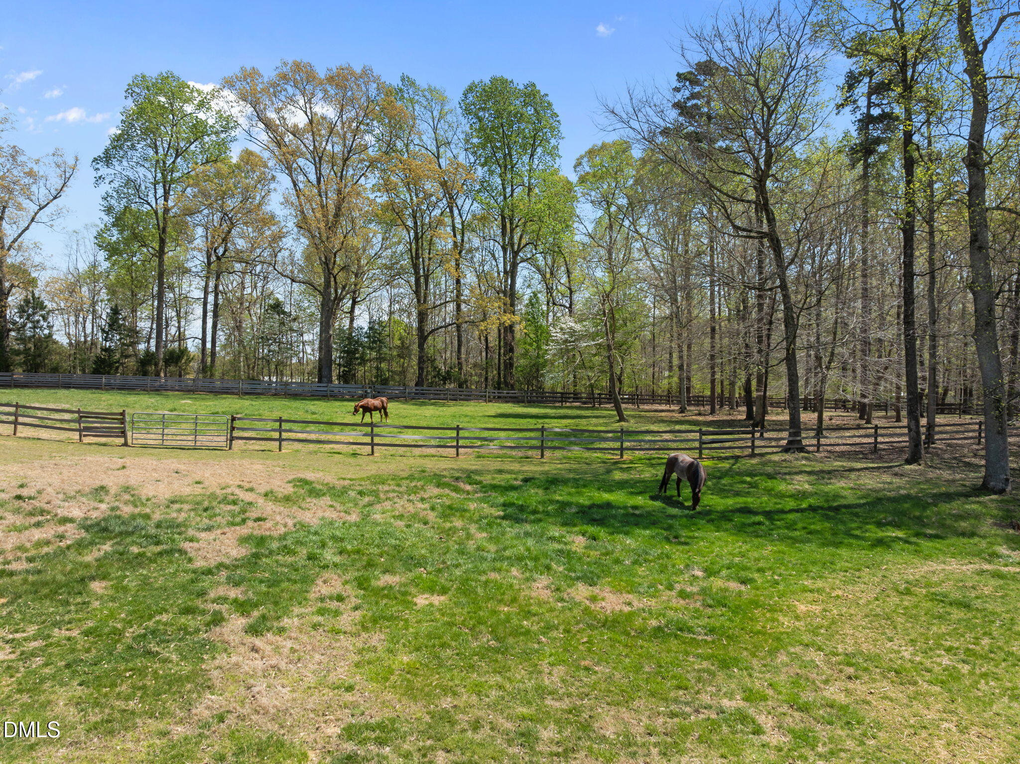 4578 Millpoint Road Greensboro, NC 27406 - Photo 61 of 66 Pasture