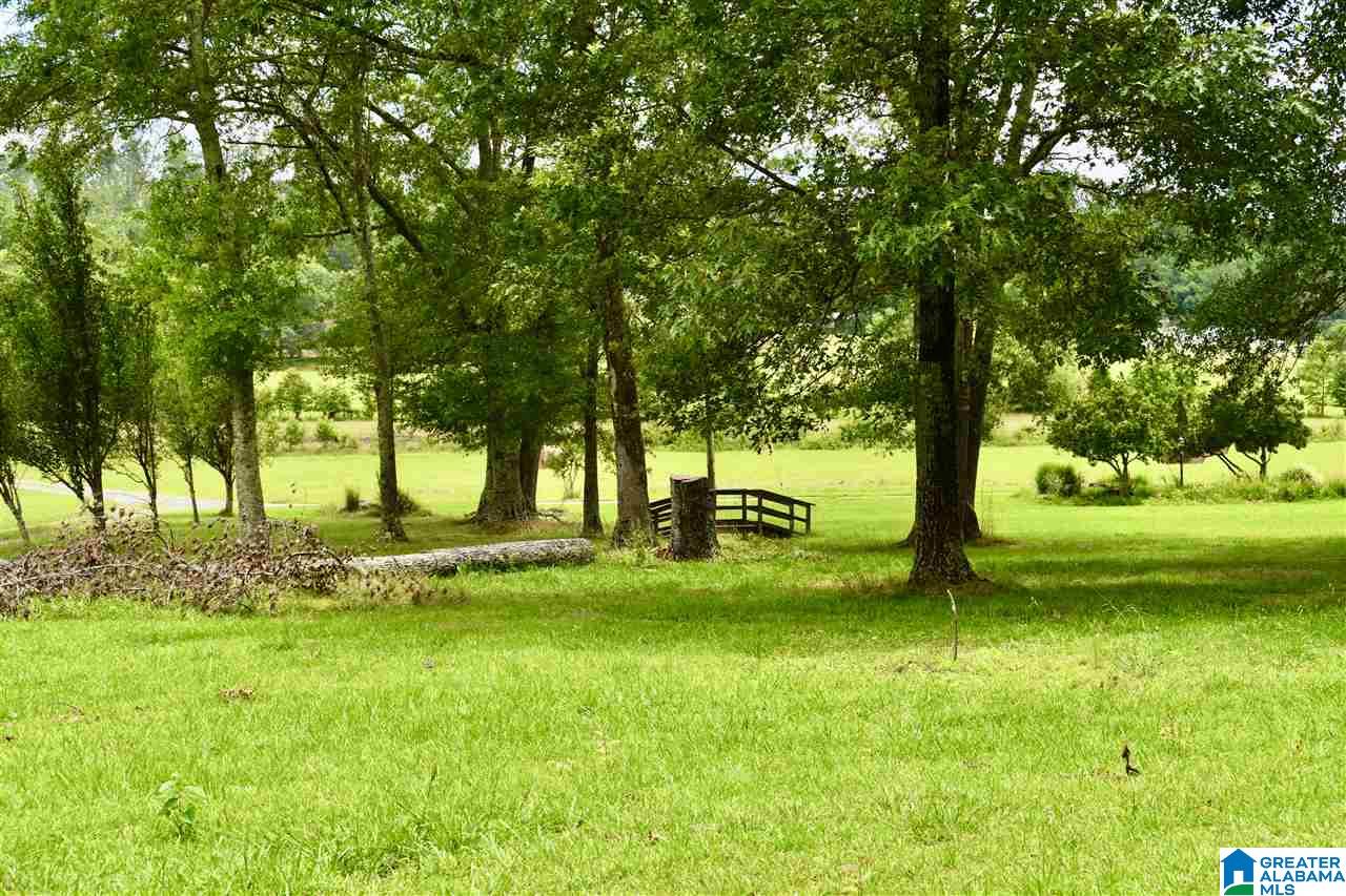 3775 Tidwell Hollow Road Oneonta, AL 35121 - Photo 9 of 49