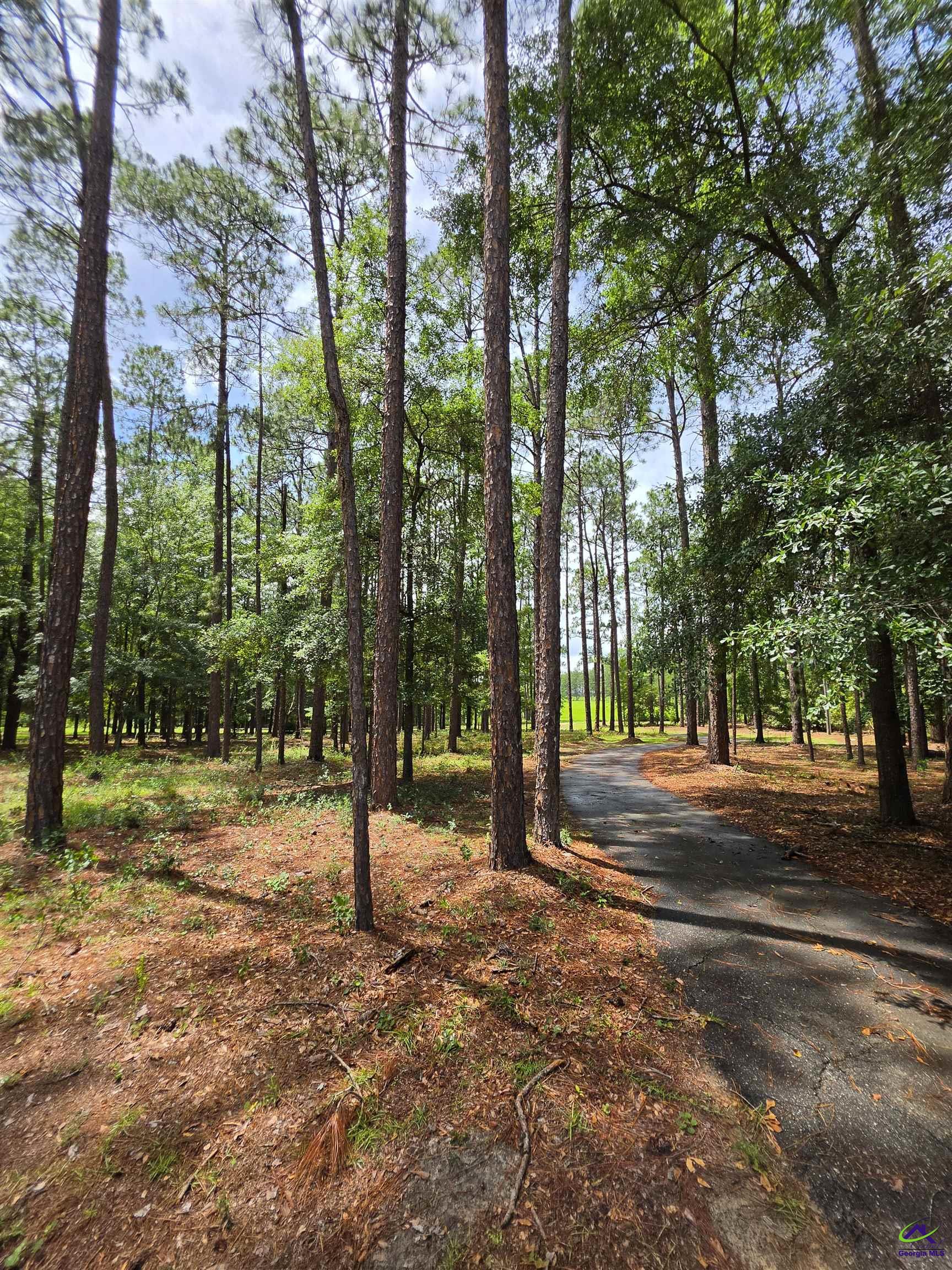 692 Albert Lampkin Road Eastman, GA 31023 - Photo 5 of 62