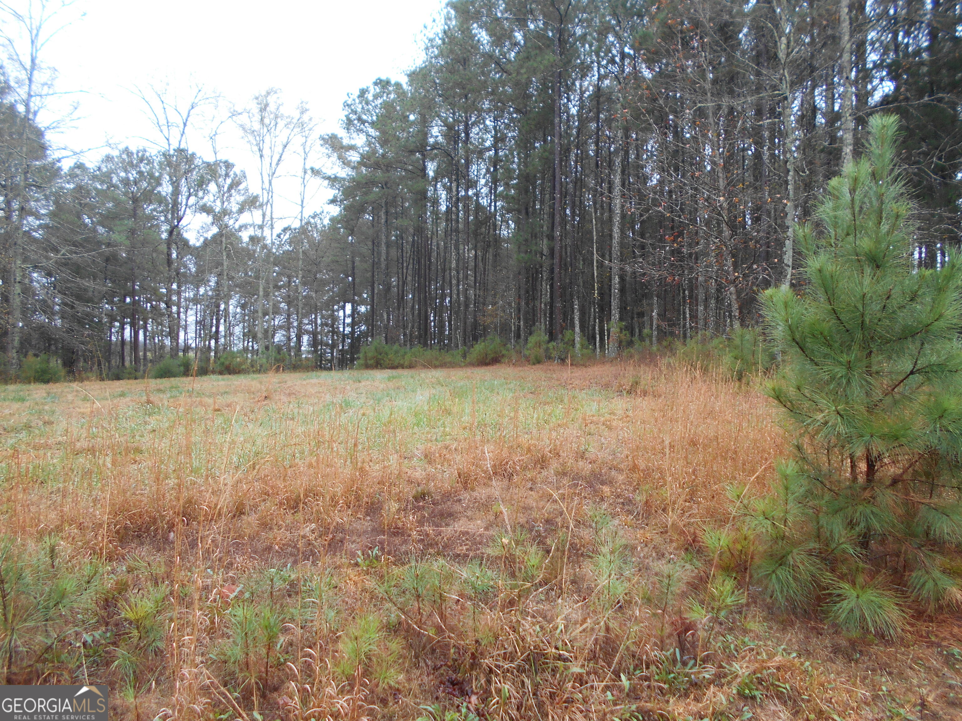 7-acres Youth Jersey Road Covington, GA 30014 - Photo 11 of 34