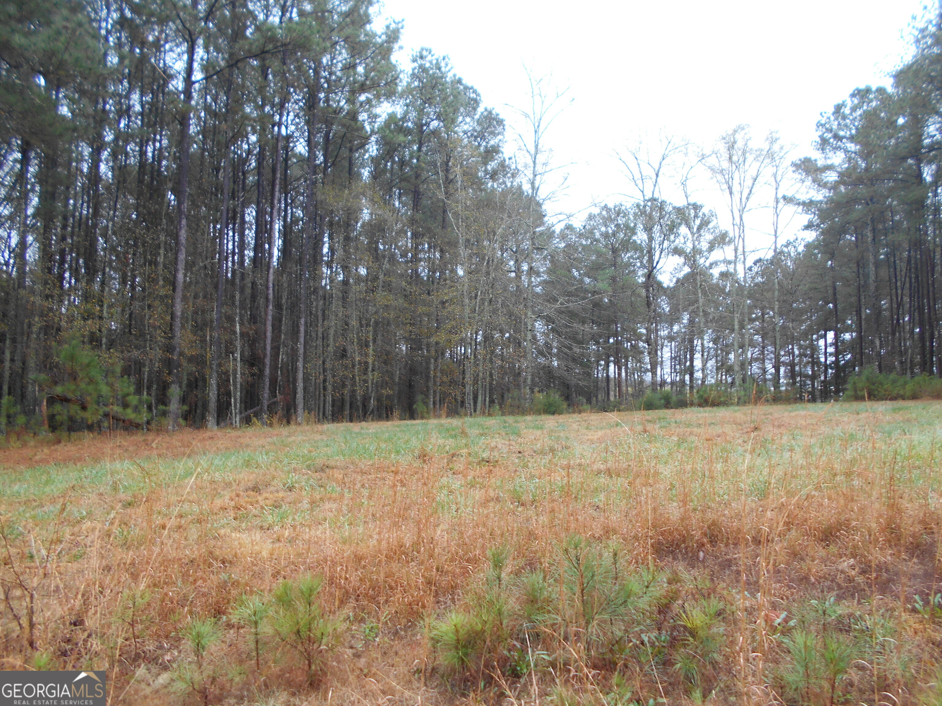 7-acres Youth Jersey Road Covington, GA 30014 - Photo 12 of 34