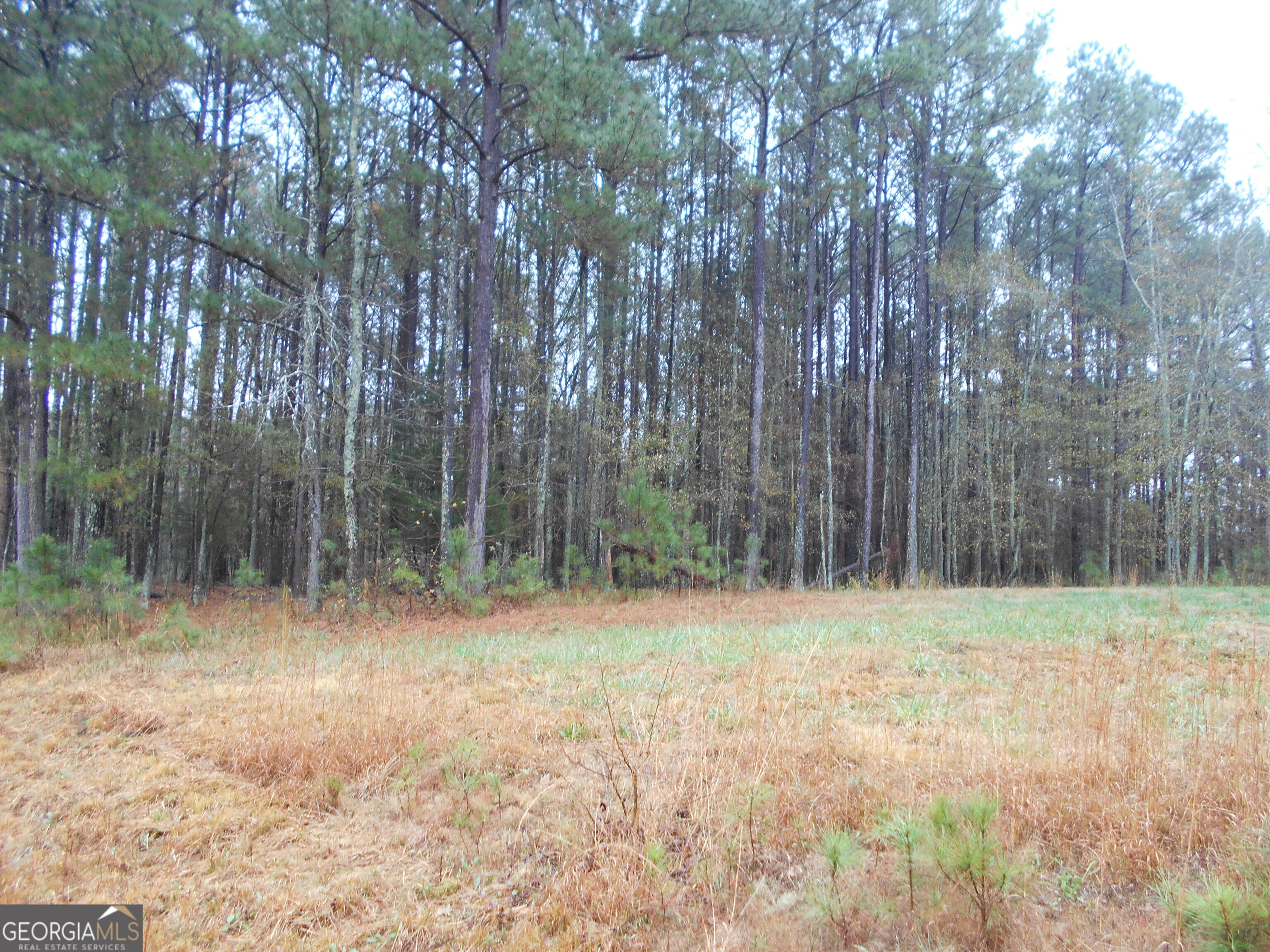 7-acres Youth Jersey Road Covington, GA 30014 - Photo 13 of 34
