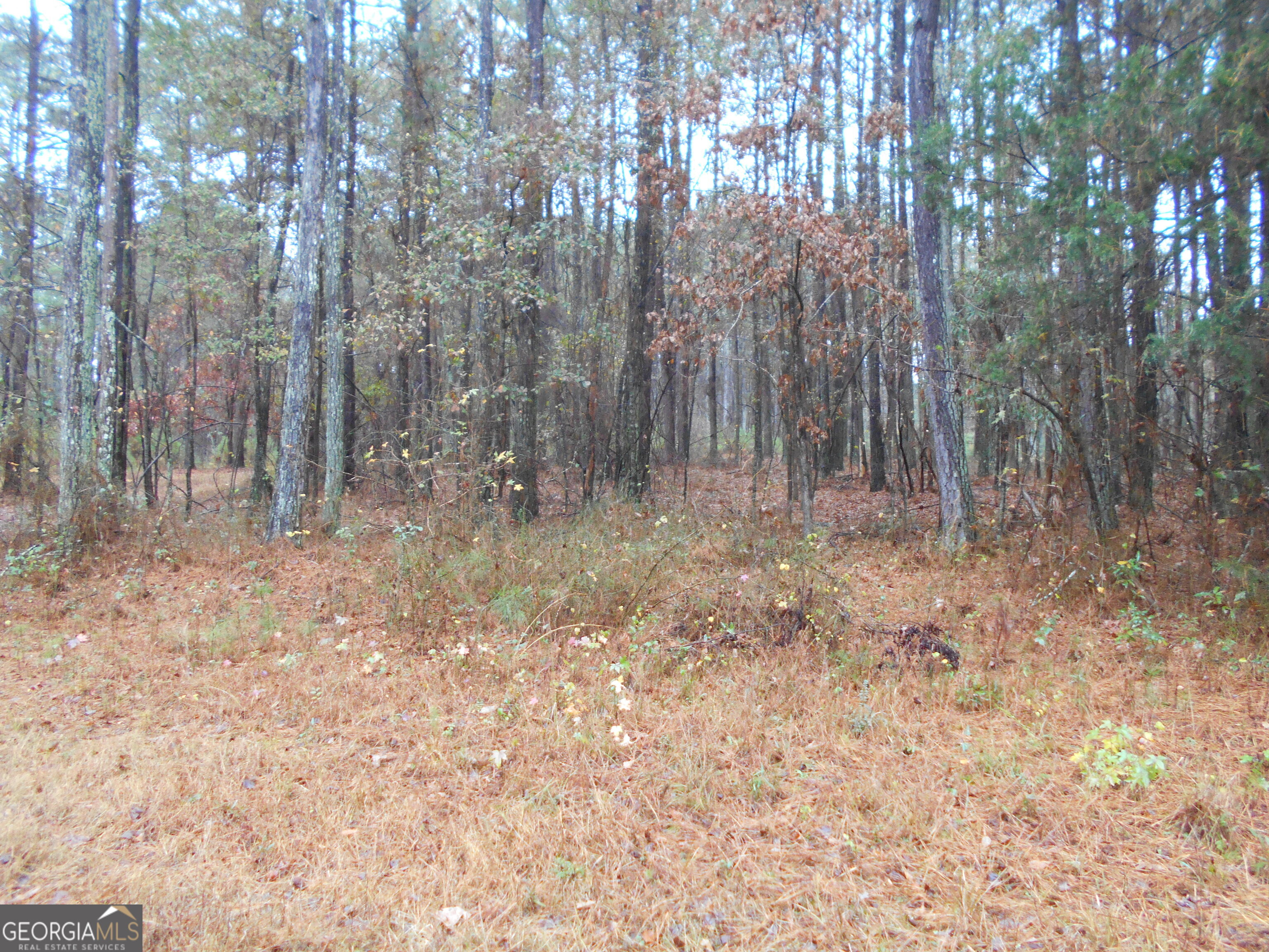 7-acres Youth Jersey Road Covington, GA 30014 - Photo 16 of 34