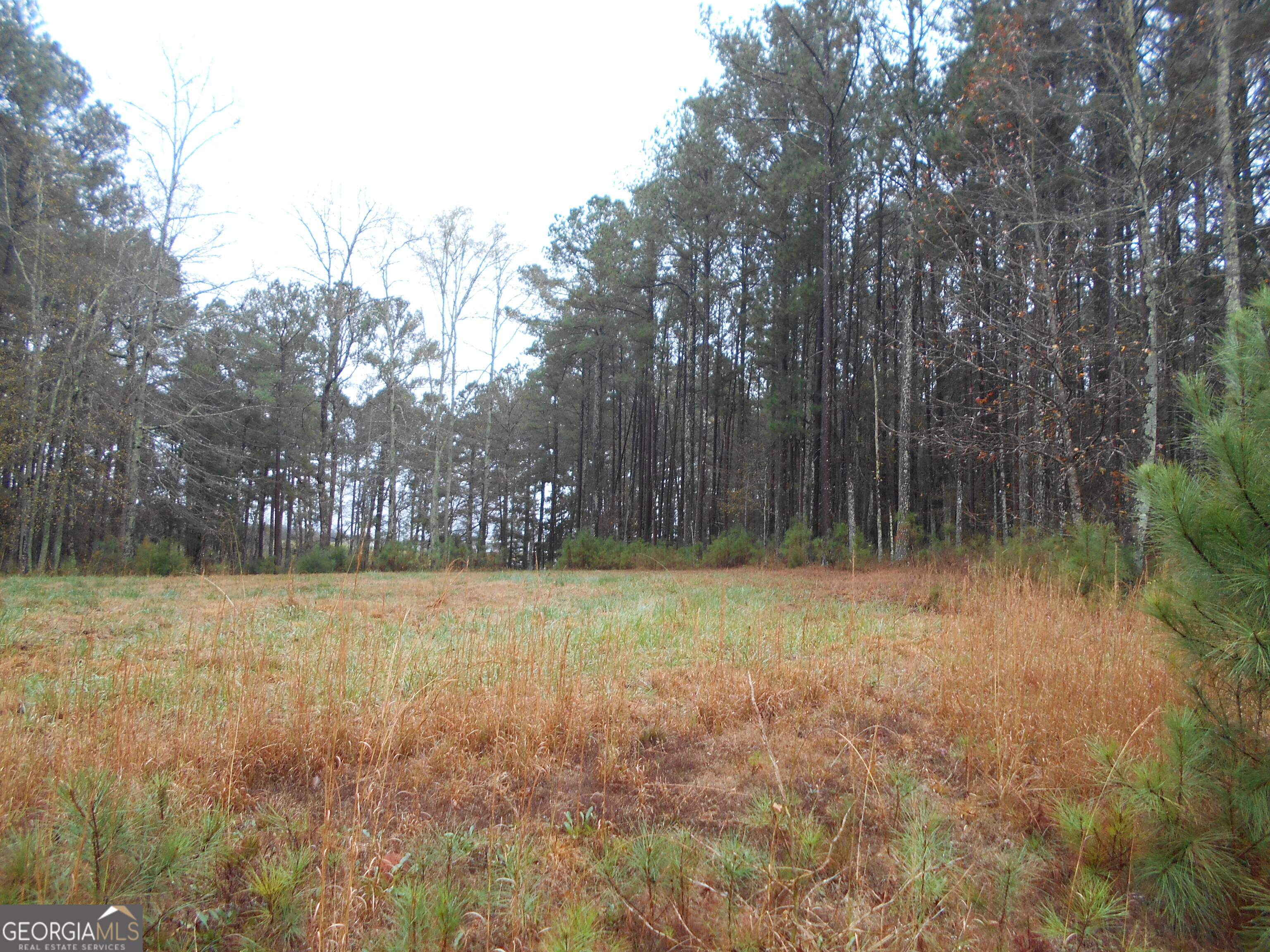 7-acres Youth Jersey Road Covington, GA 30014 - Photo 17 of 34