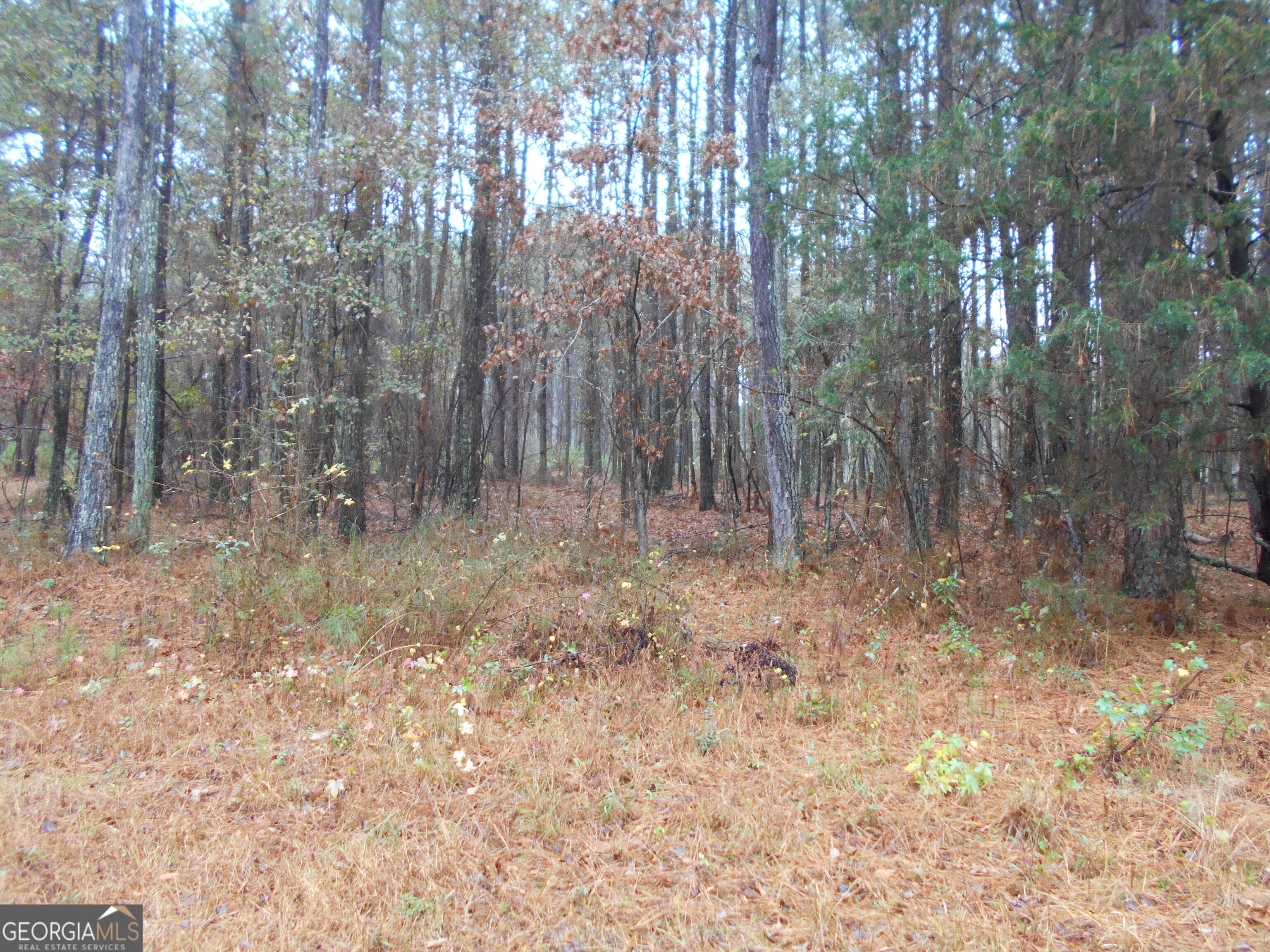 7-acres Youth Jersey Road Covington, GA 30014 - Photo 18 of 34