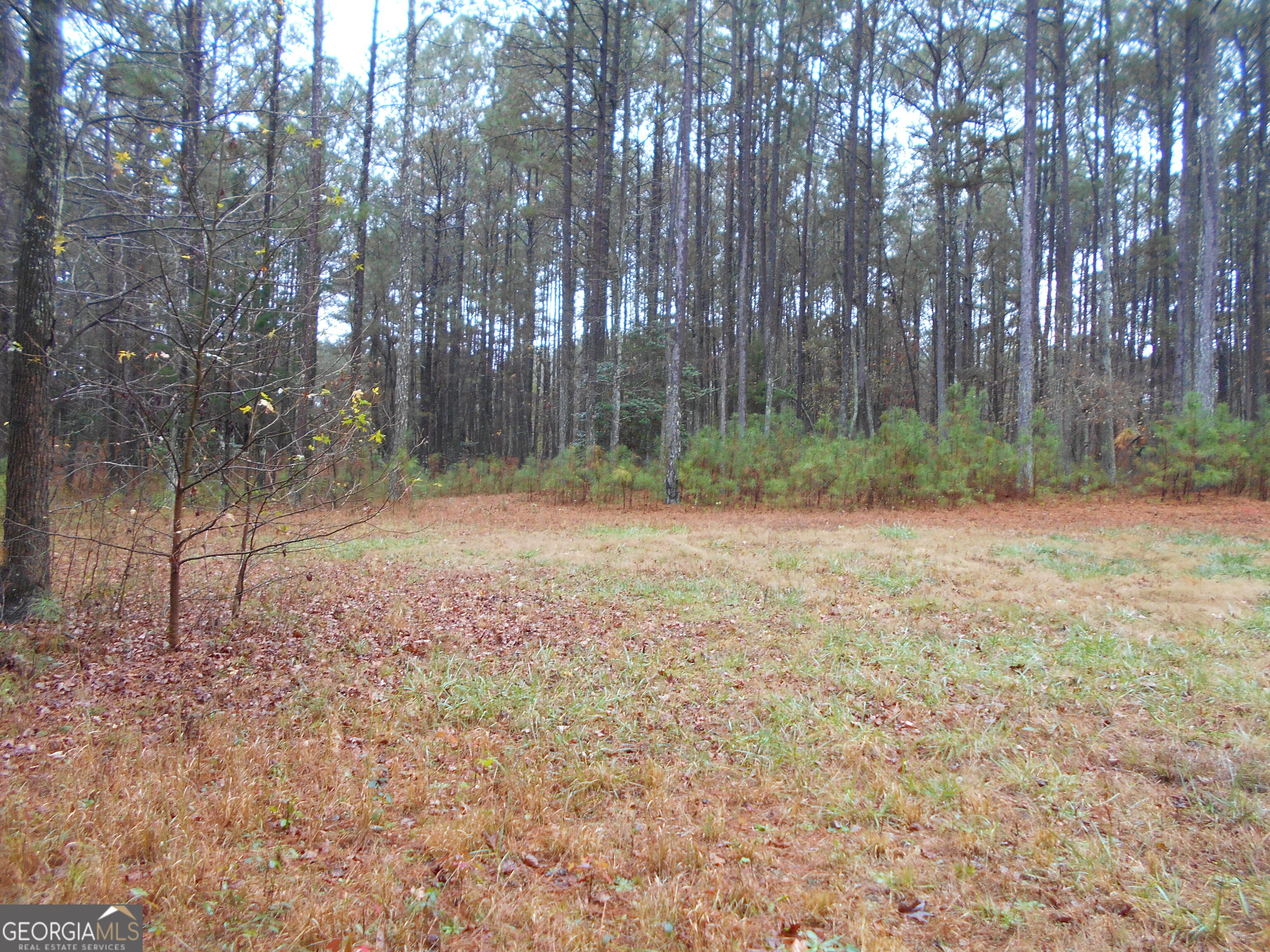 7-acres Youth Jersey Road Covington, GA 30014 - Photo 19 of 34